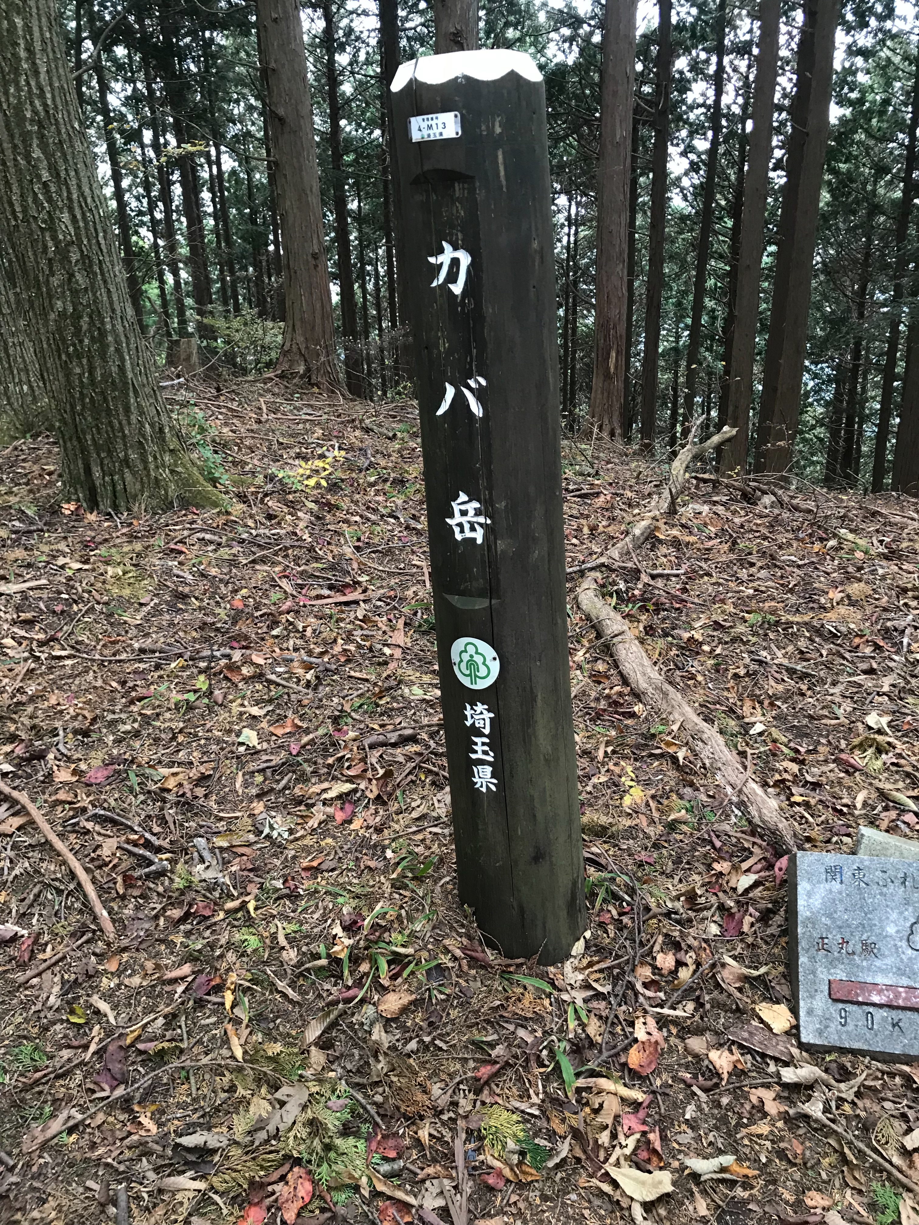 f:id:hatakofuru:20181105210705j:image