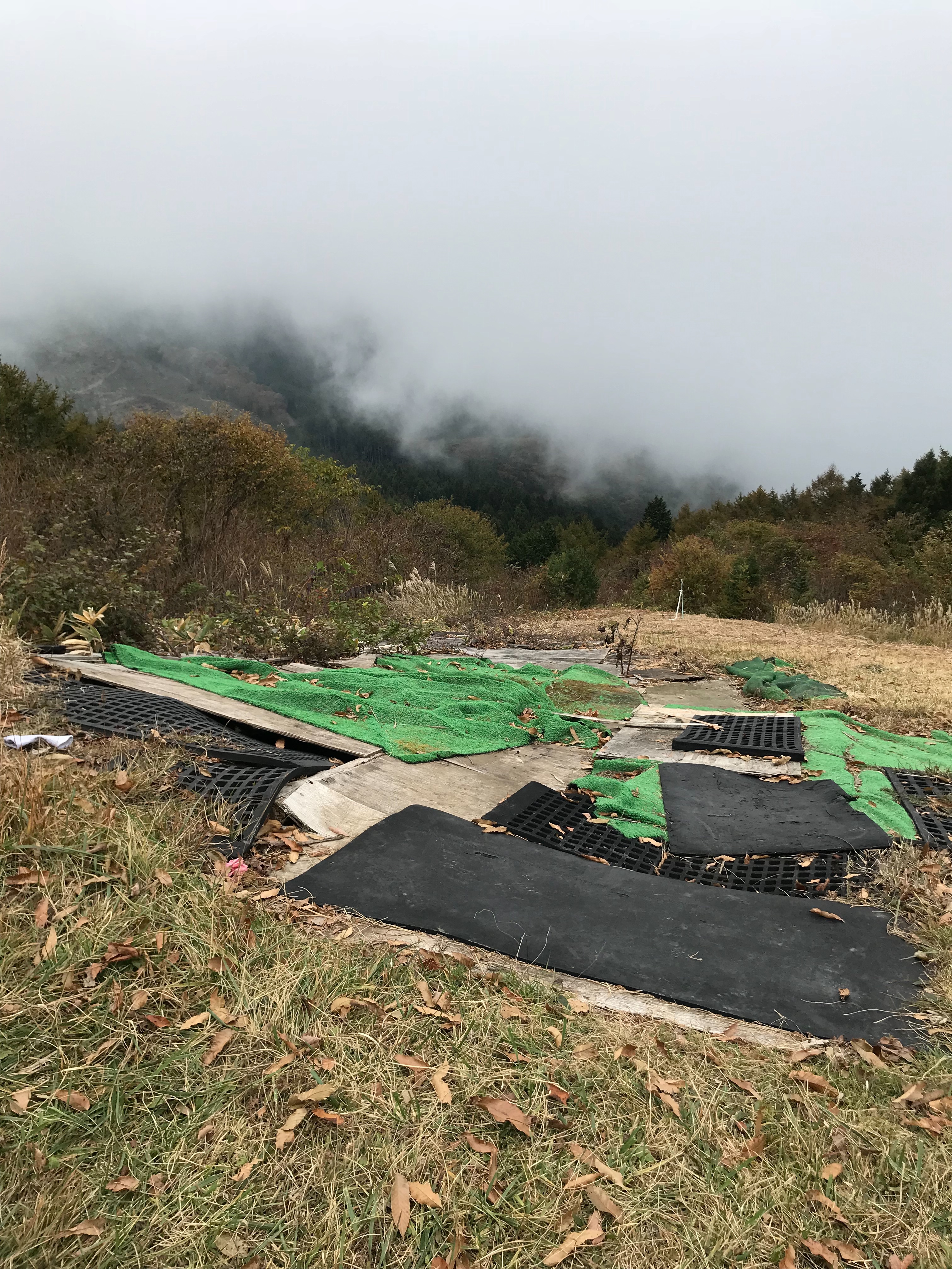 f:id:hatakofuru:20181105210845j:image