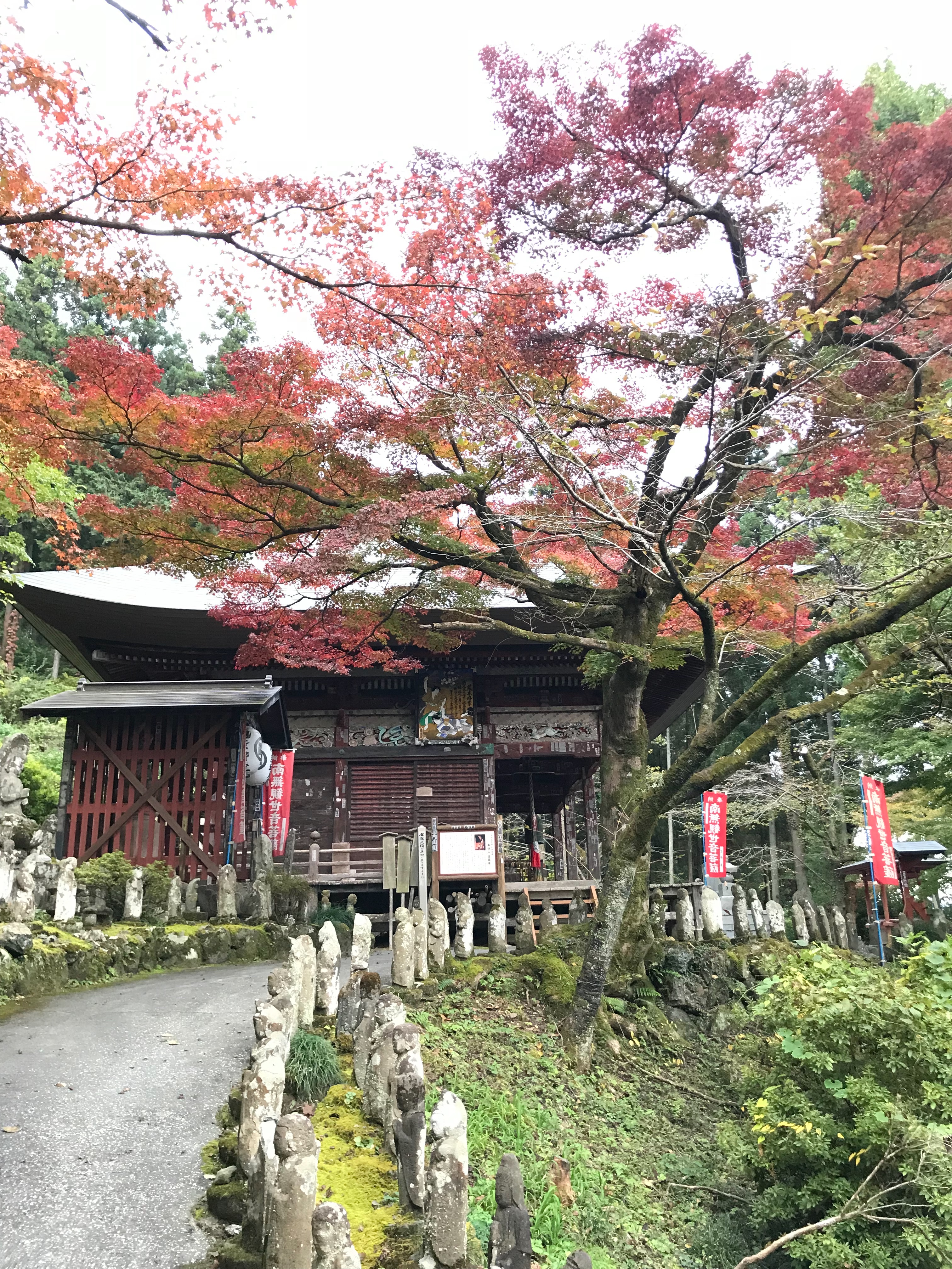 f:id:hatakofuru:20181105221342j:image