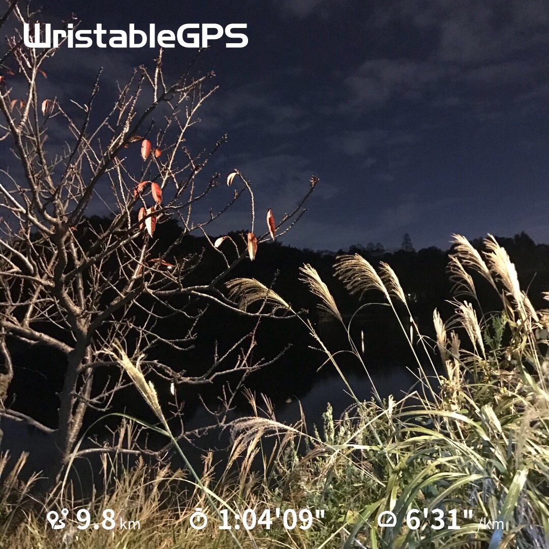 f:id:hatakofuru:20181109073552j:image f:id:hatakofuru:20181109073552j:image