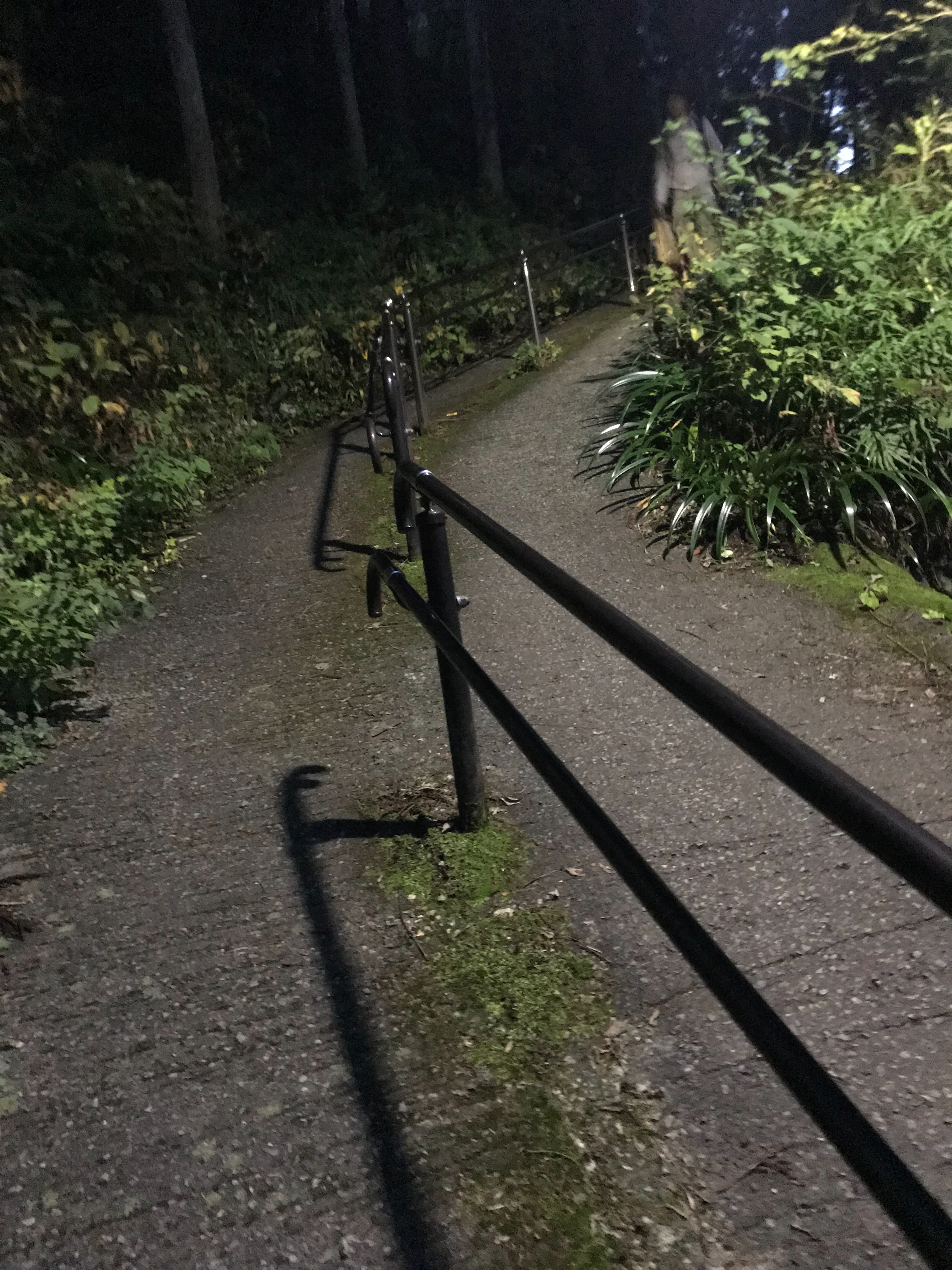 f:id:hatakofuru:20181118081816j:image f:id:hatakofuru:20181118081816j:image