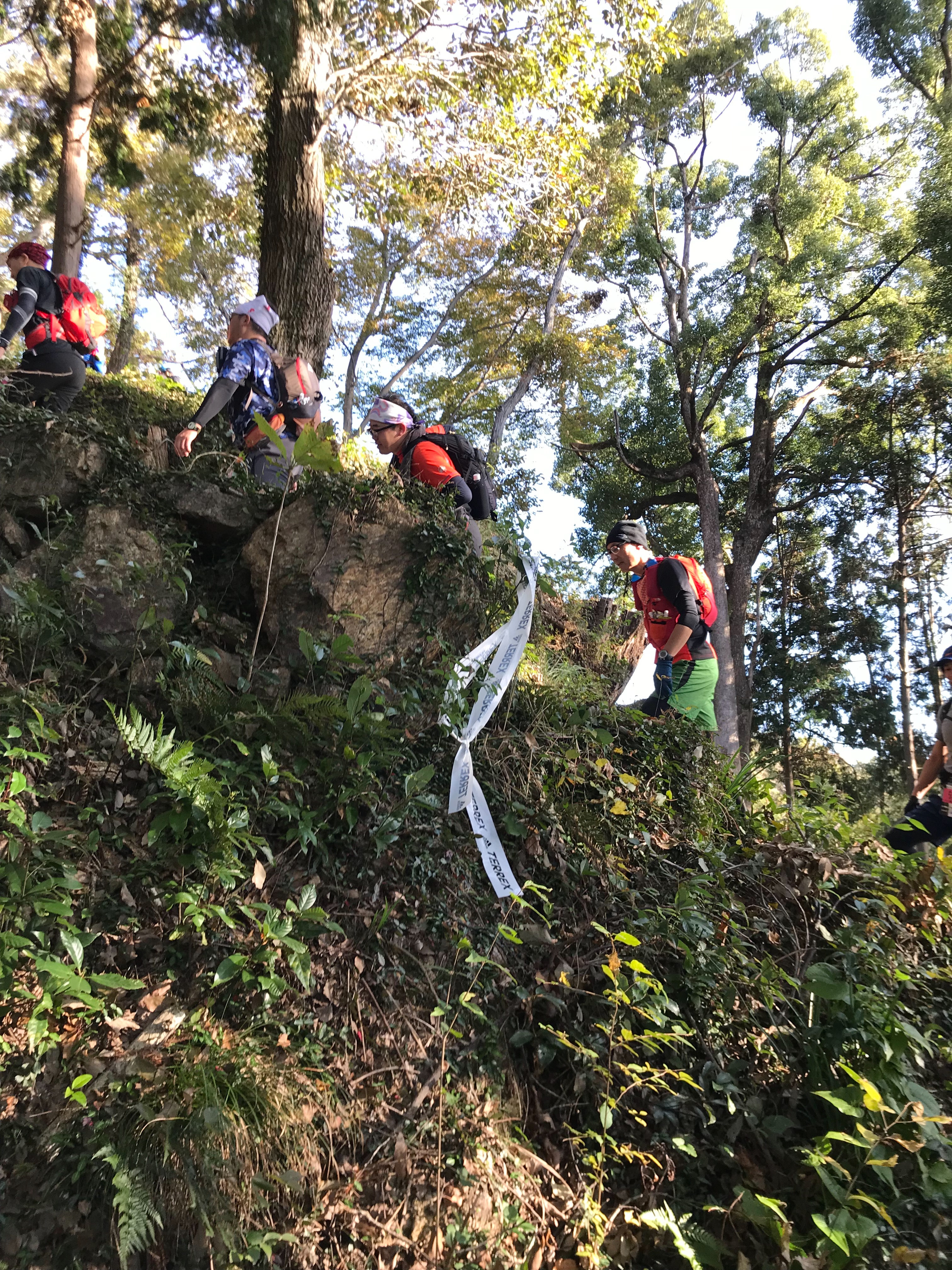 f:id:hatakofuru:20181118090853j:image f:id:hatakofuru:20181118090853j:image