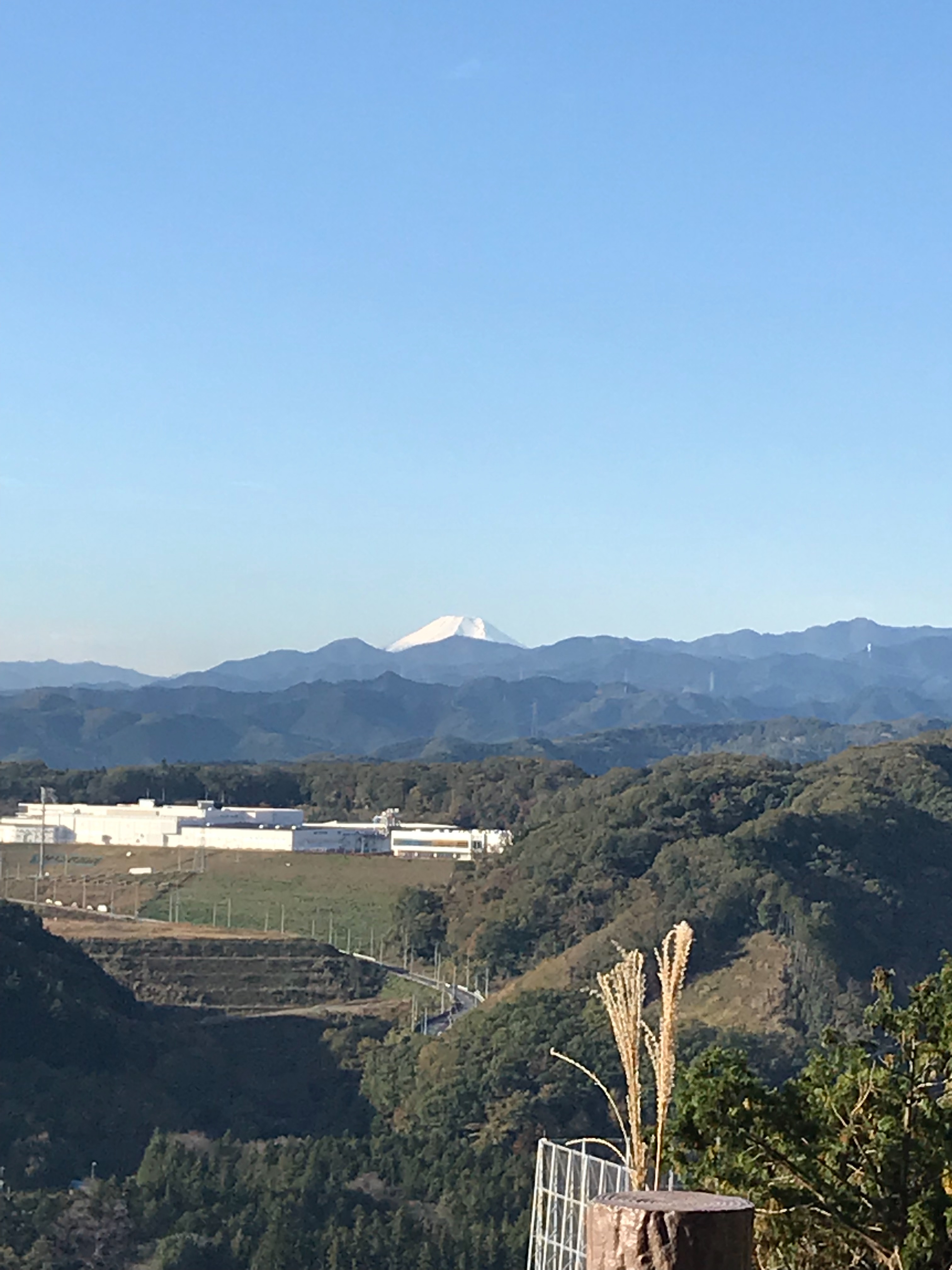 f:id:hatakofuru:20181118091544j:image f:id:hatakofuru:20181118091544j:image