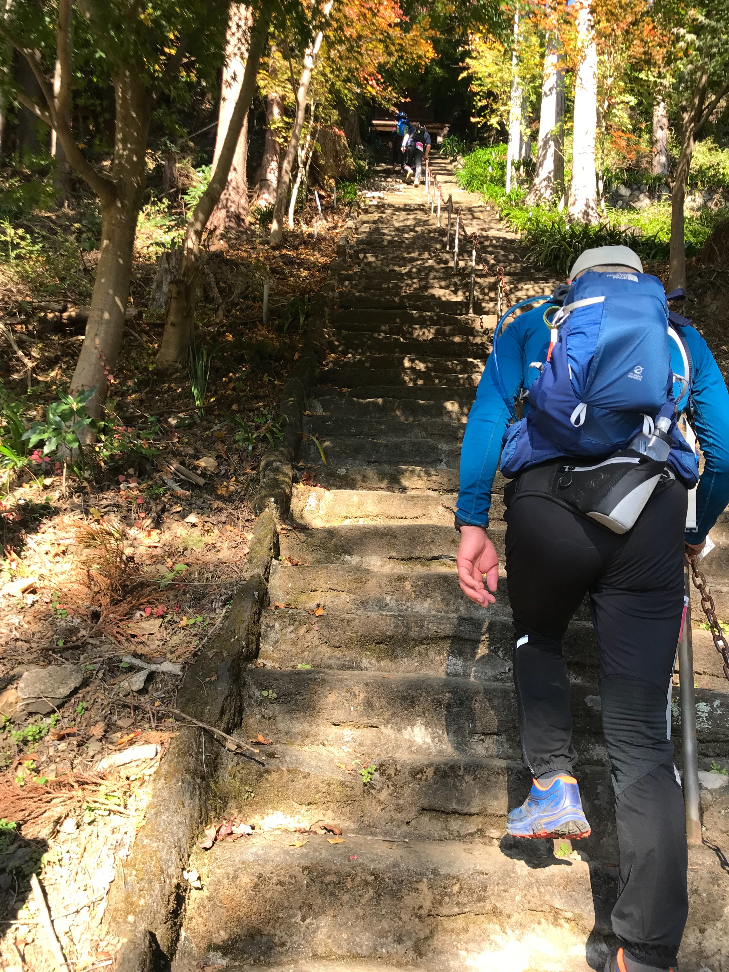 f:id:hatakofuru:20181118224811j:image