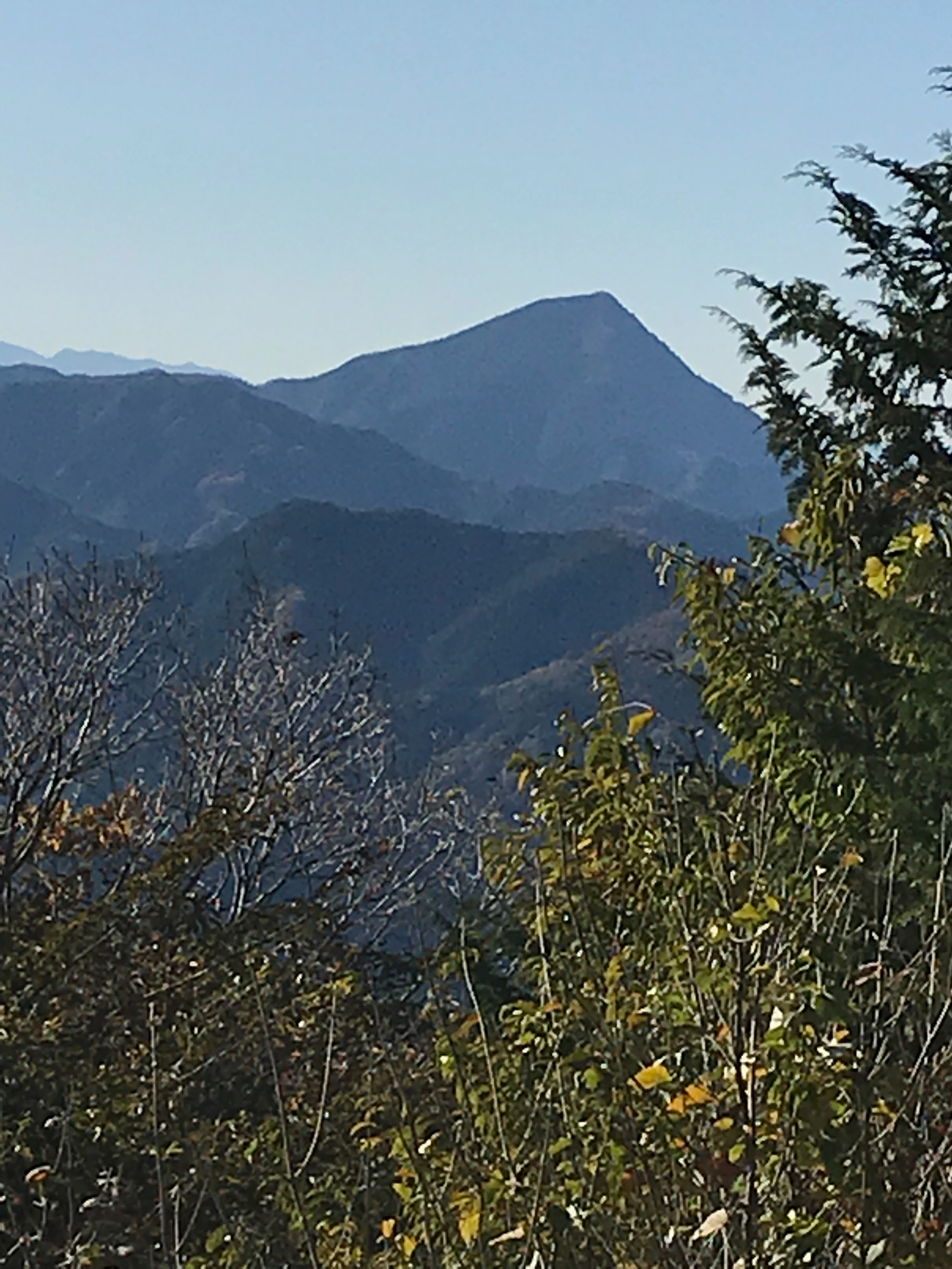 f:id:hatakofuru:20181119130734j:image f:id:hatakofuru:20181119130734j:image