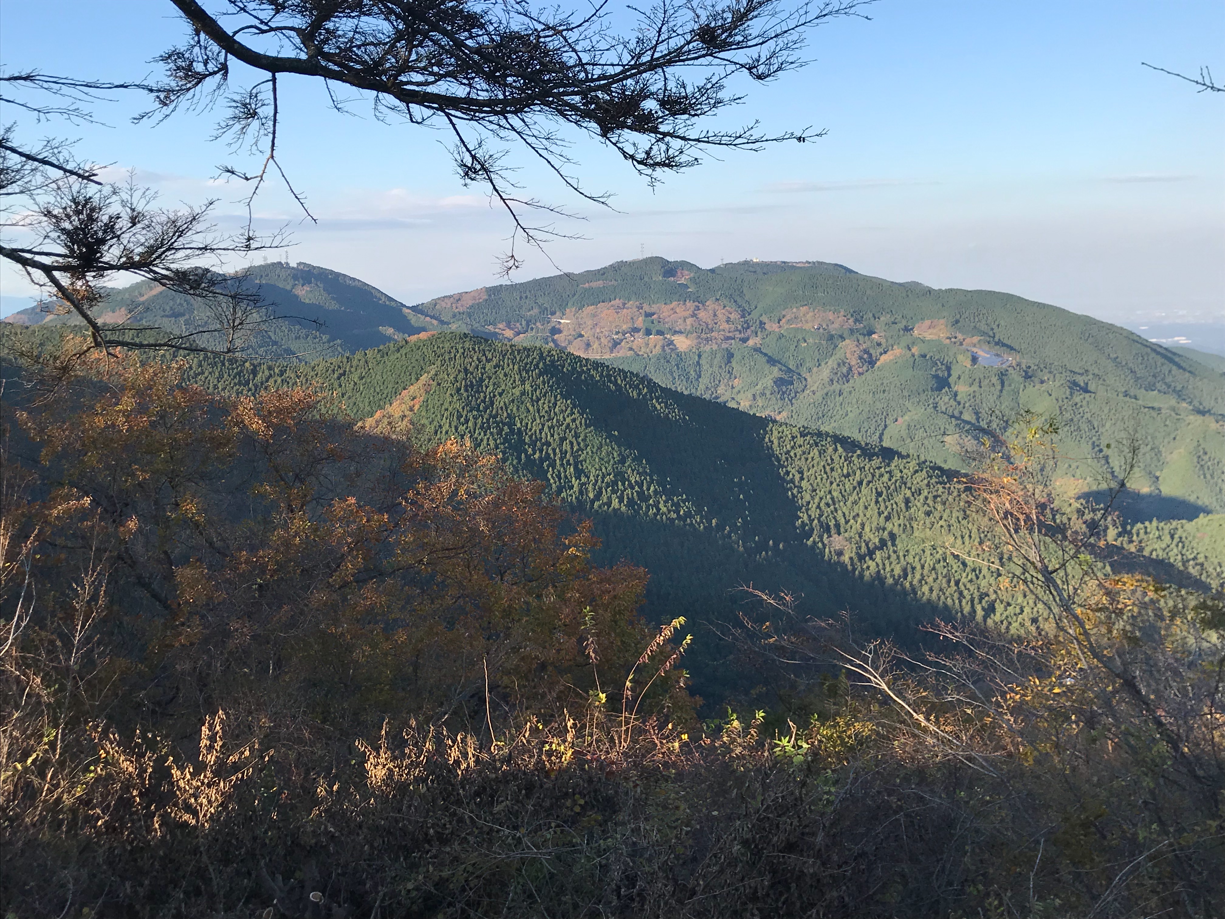 f:id:hatakofuru:20181119130846j:image f:id:hatakofuru:20181119130846j:image