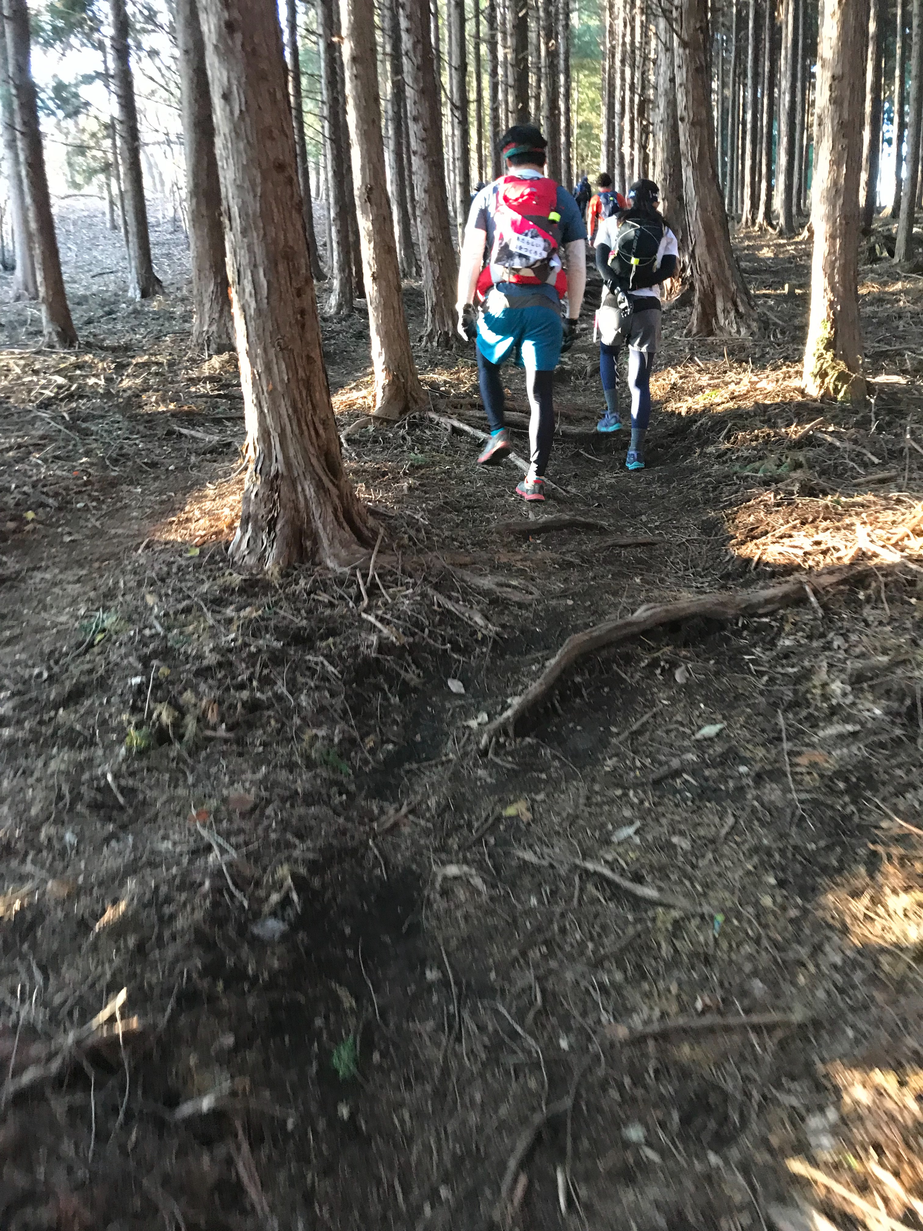 f:id:hatakofuru:20181119131223j:image f:id:hatakofuru:20181119131223j:image