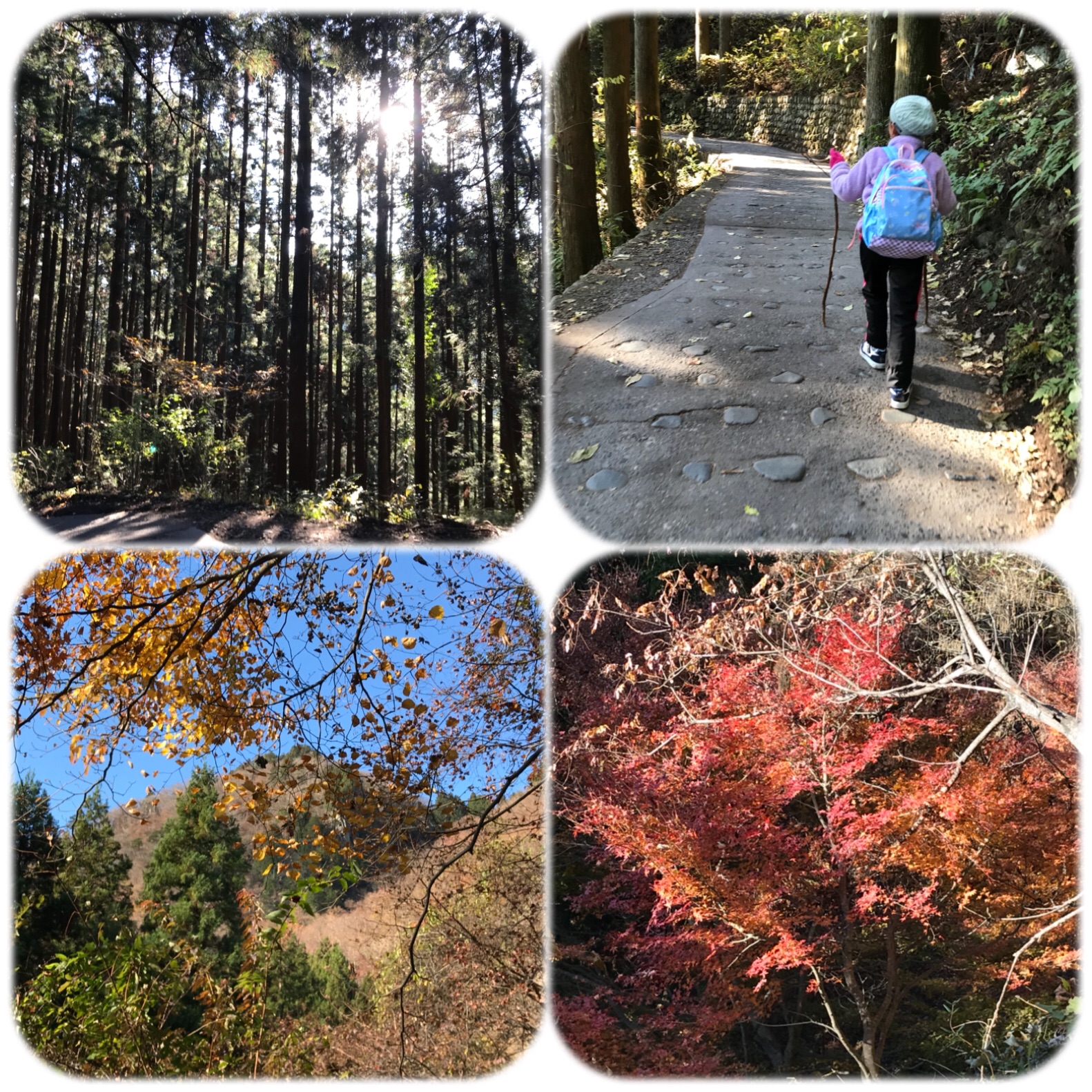 f:id:hatakofuru:20181127194930j:image