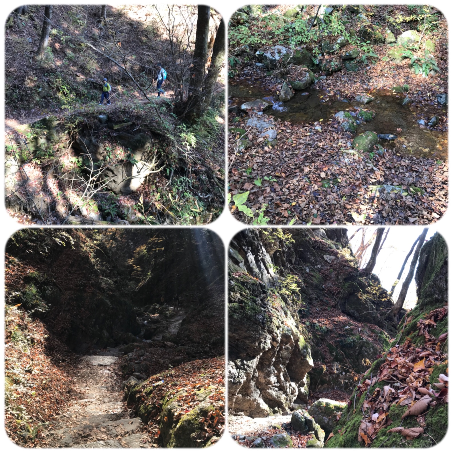 f:id:hatakofuru:20181127195343j:image