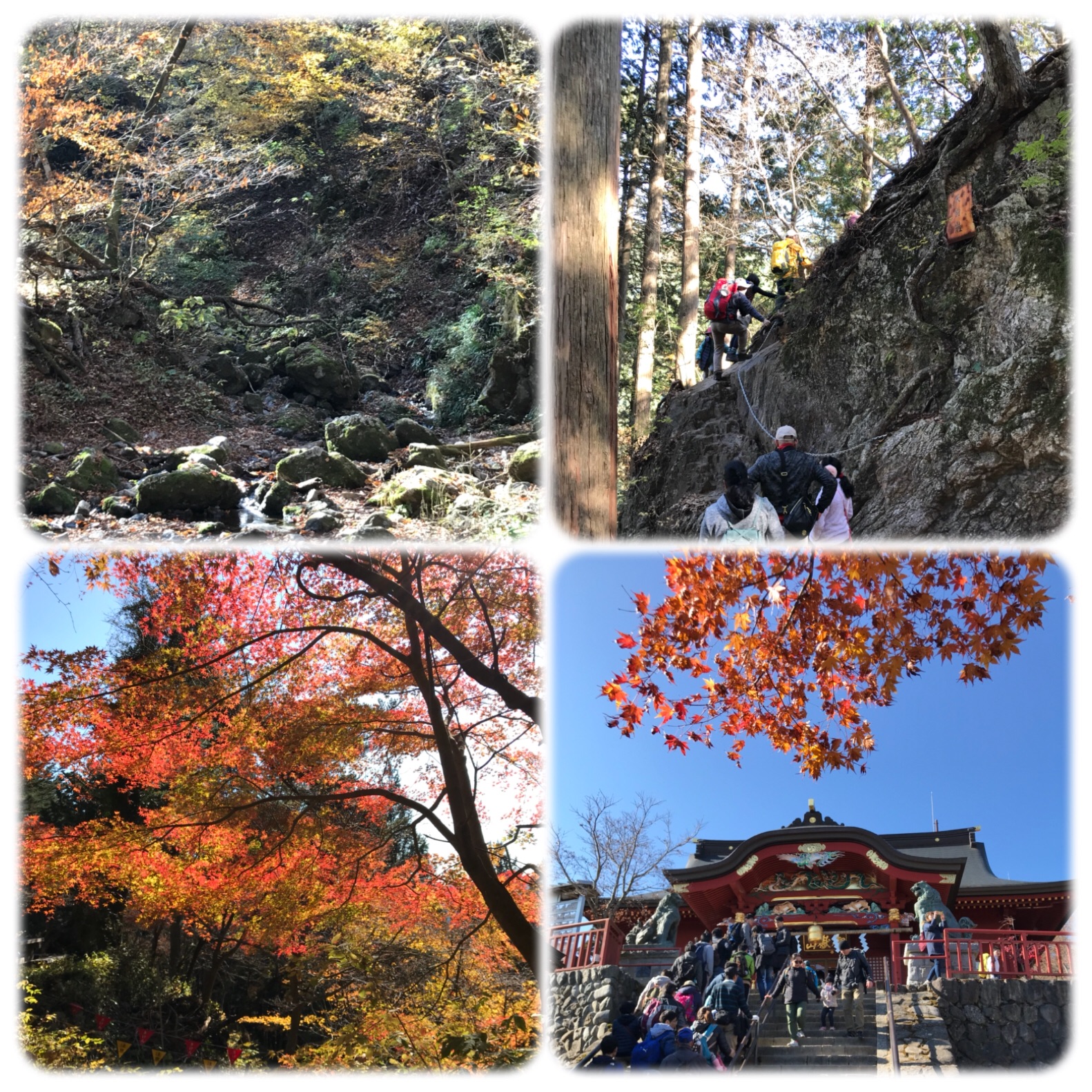 f:id:hatakofuru:20181127201911j:image