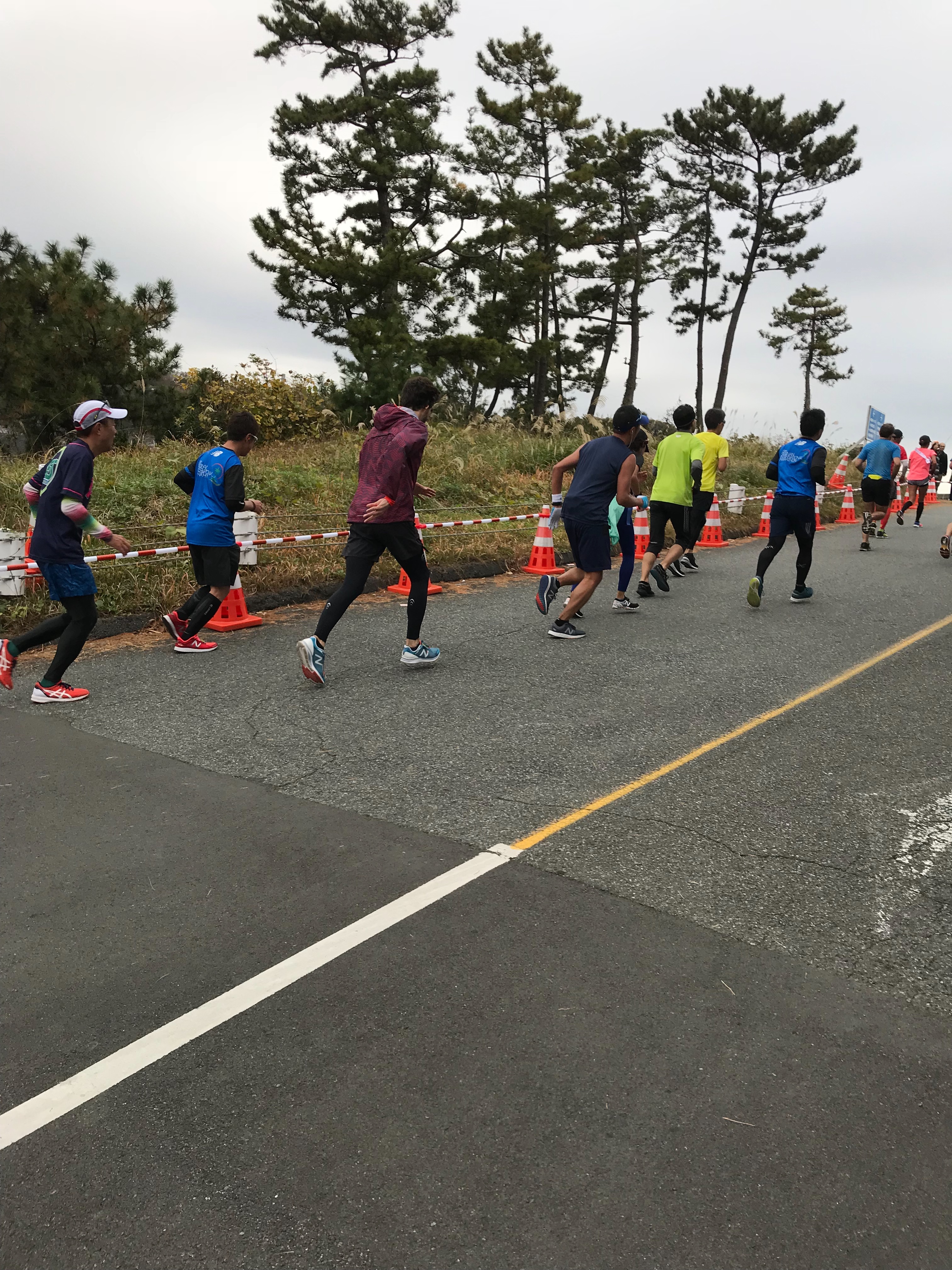 f:id:hatakofuru:20181205065246j:image f:id:hatakofuru:20181205065246j:image