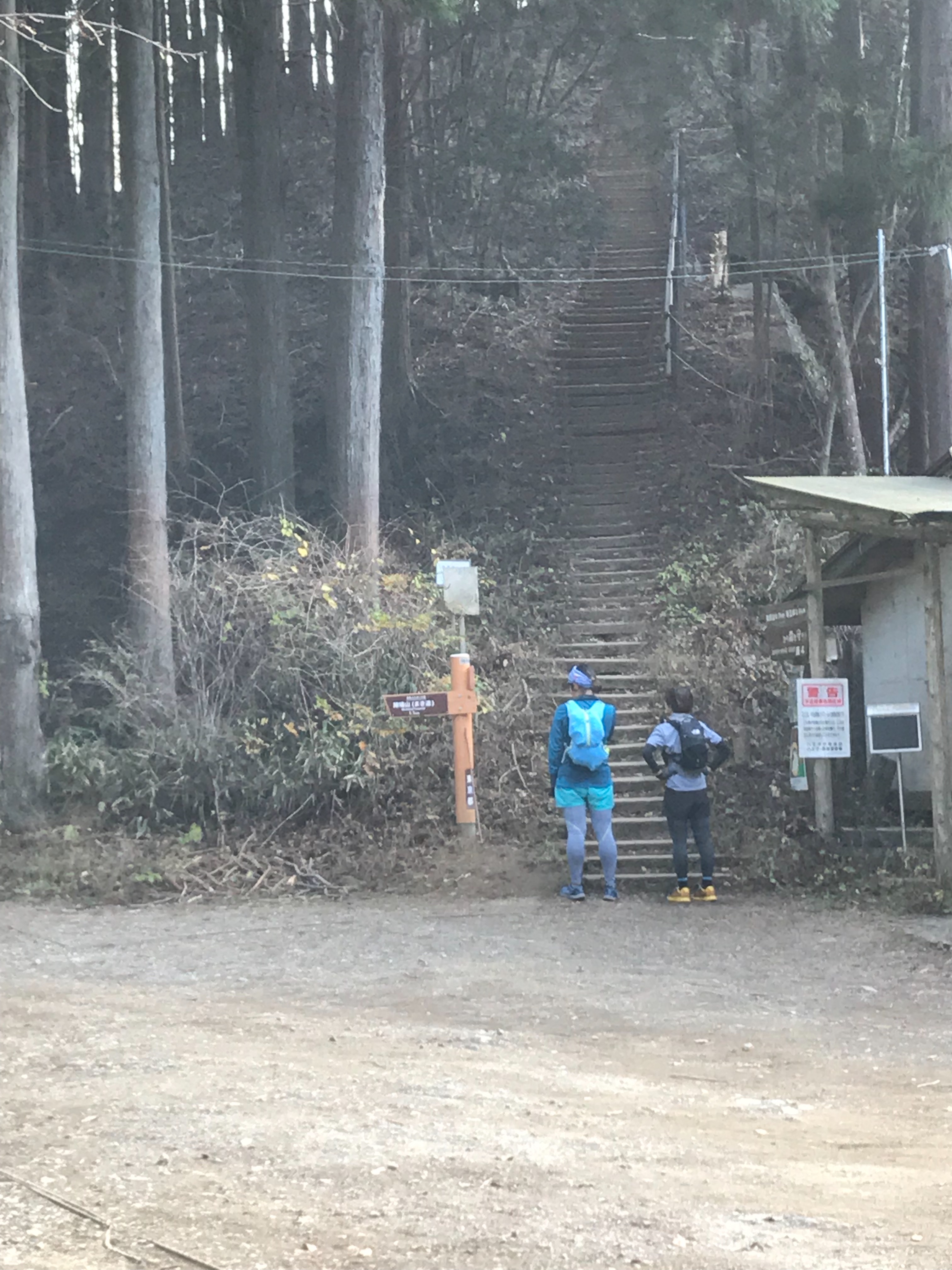 f:id:hatakofuru:20181211080701j:image