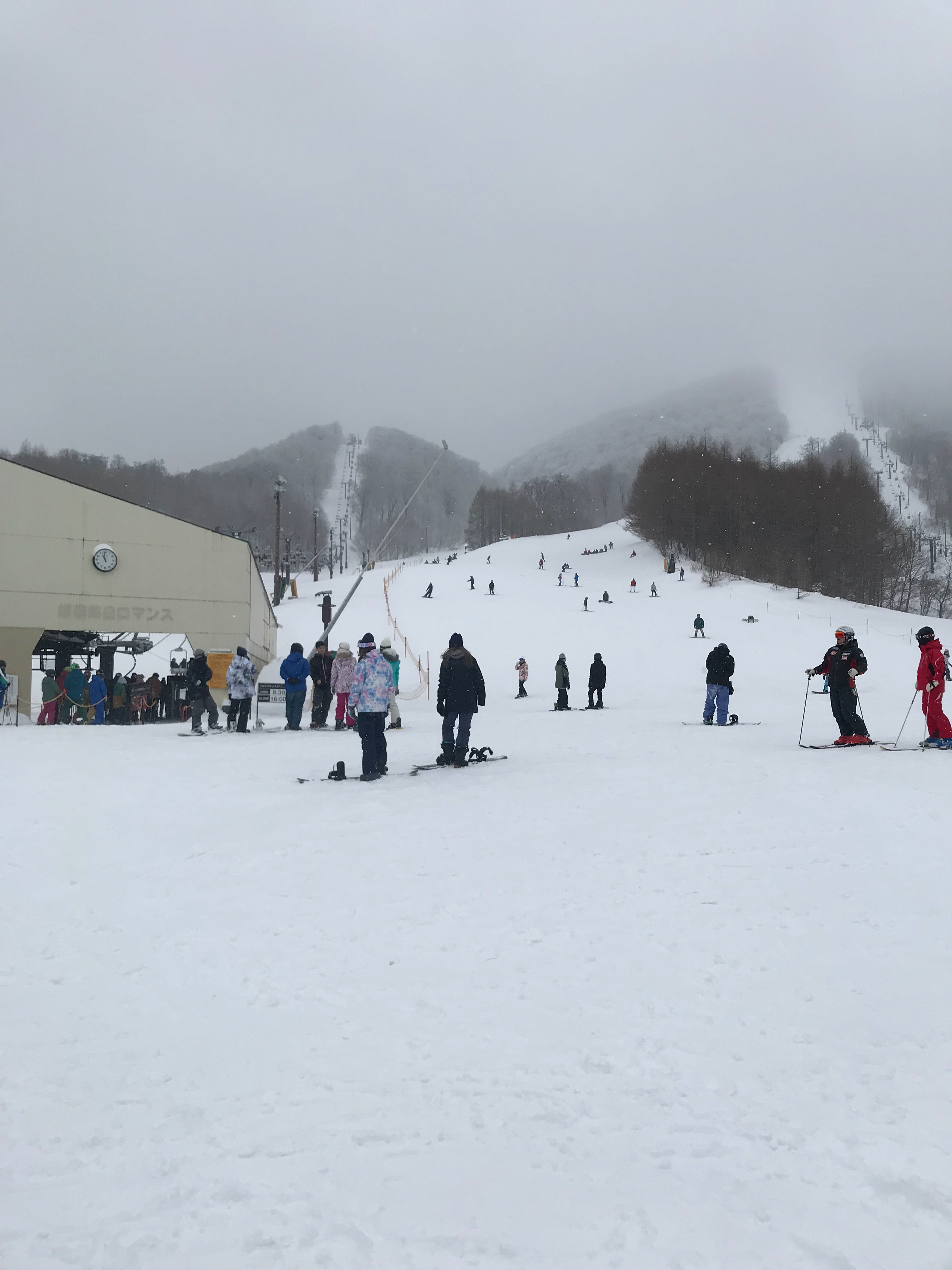 f:id:hatakofuru:20181230074904j:image f:id:hatakofuru:20181230074904j:image