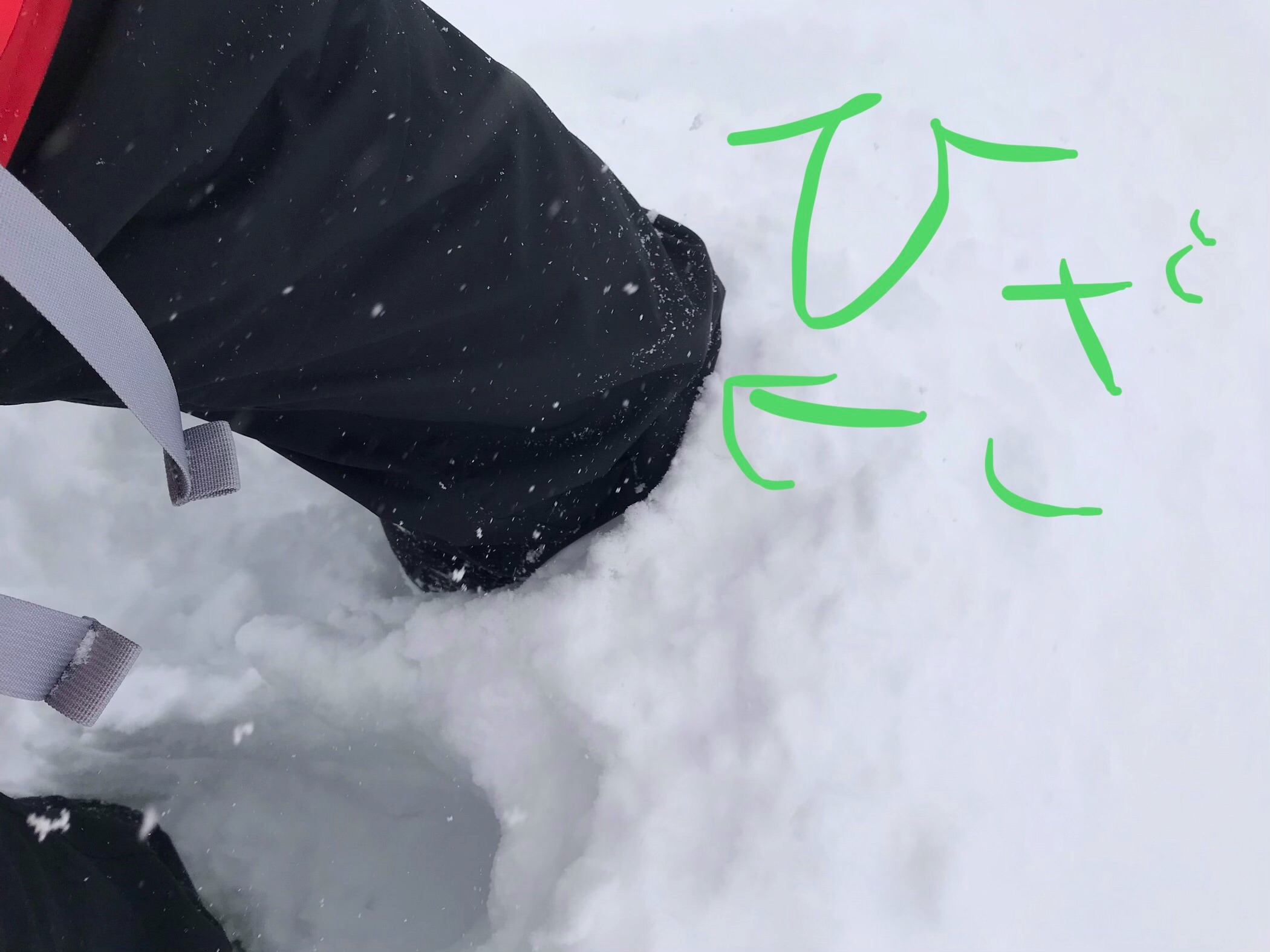 f:id:hatakofuru:20181230121740j:image f:id:hatakofuru:20181230121740j:image