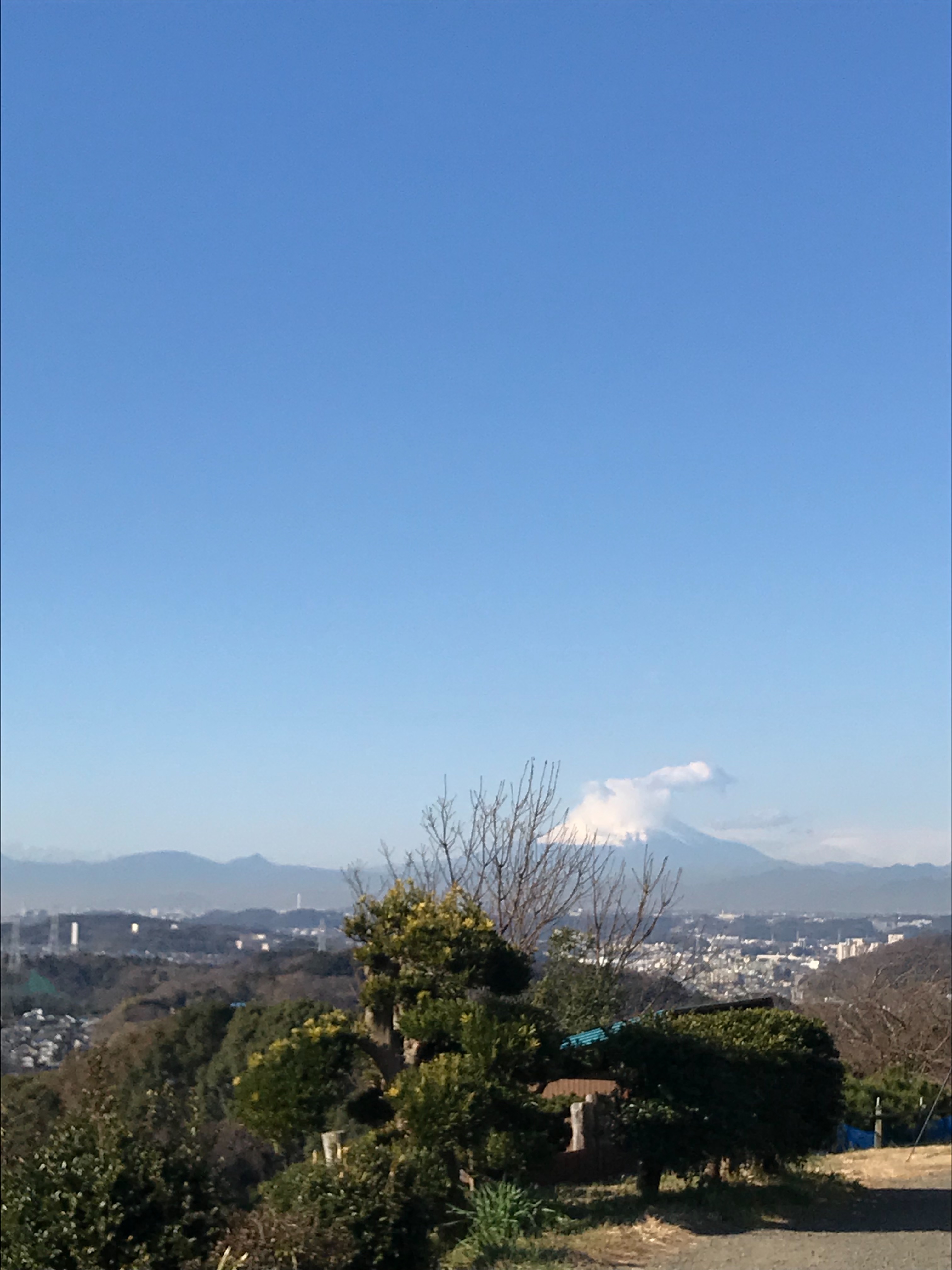 f:id:hatakofuru:20190106195625j:image