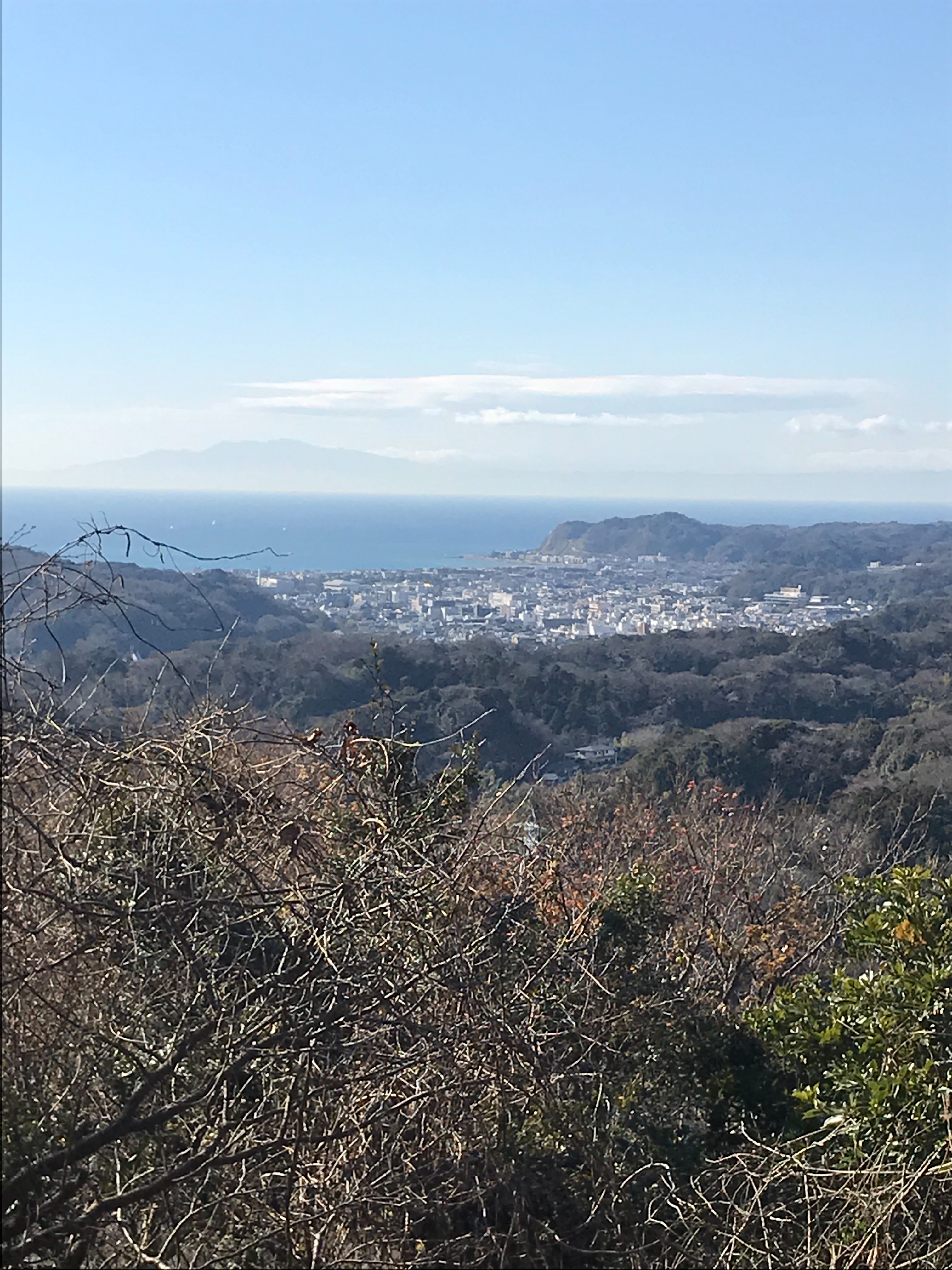 f:id:hatakofuru:20190106200428j:image
