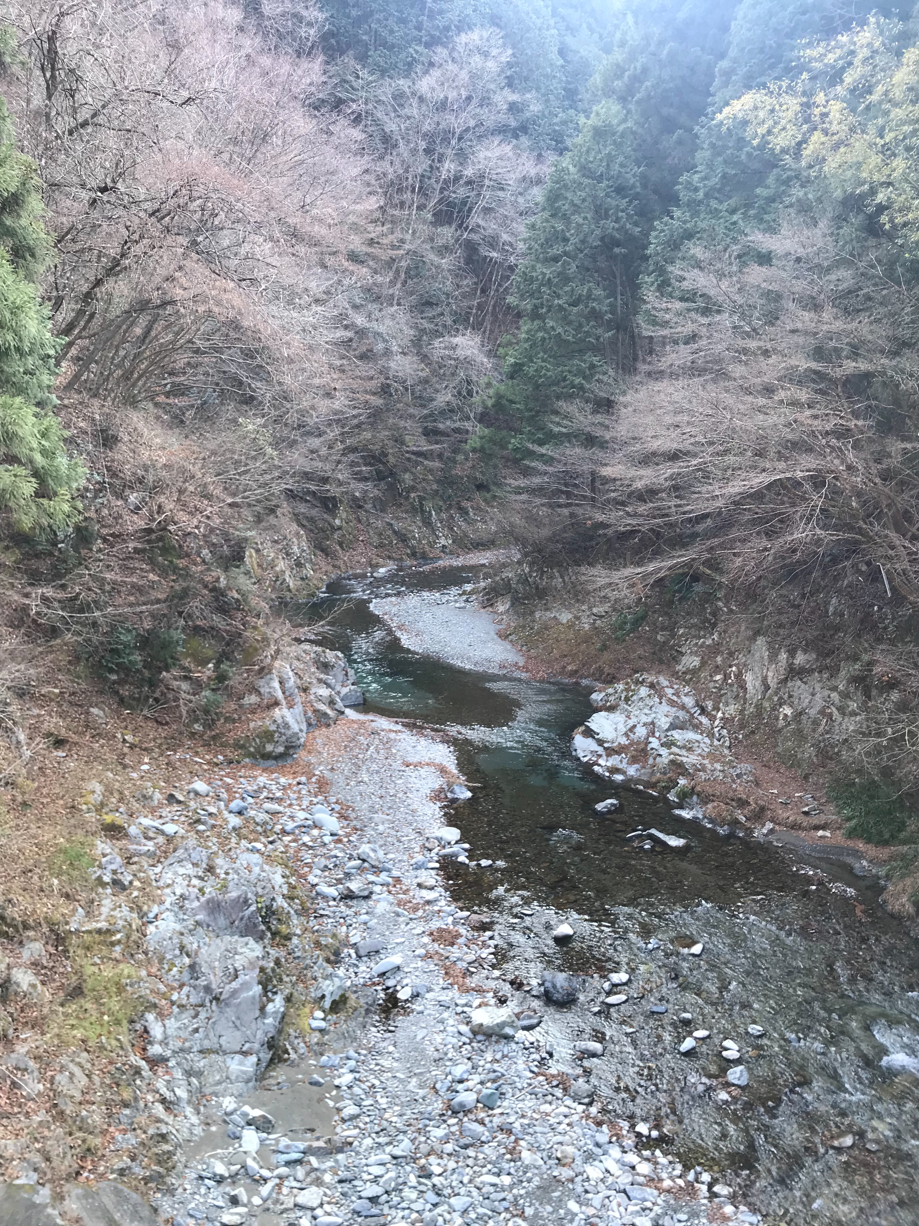 f:id:hatakofuru:20190116055828j:image f:id:hatakofuru:20190116055828j:image