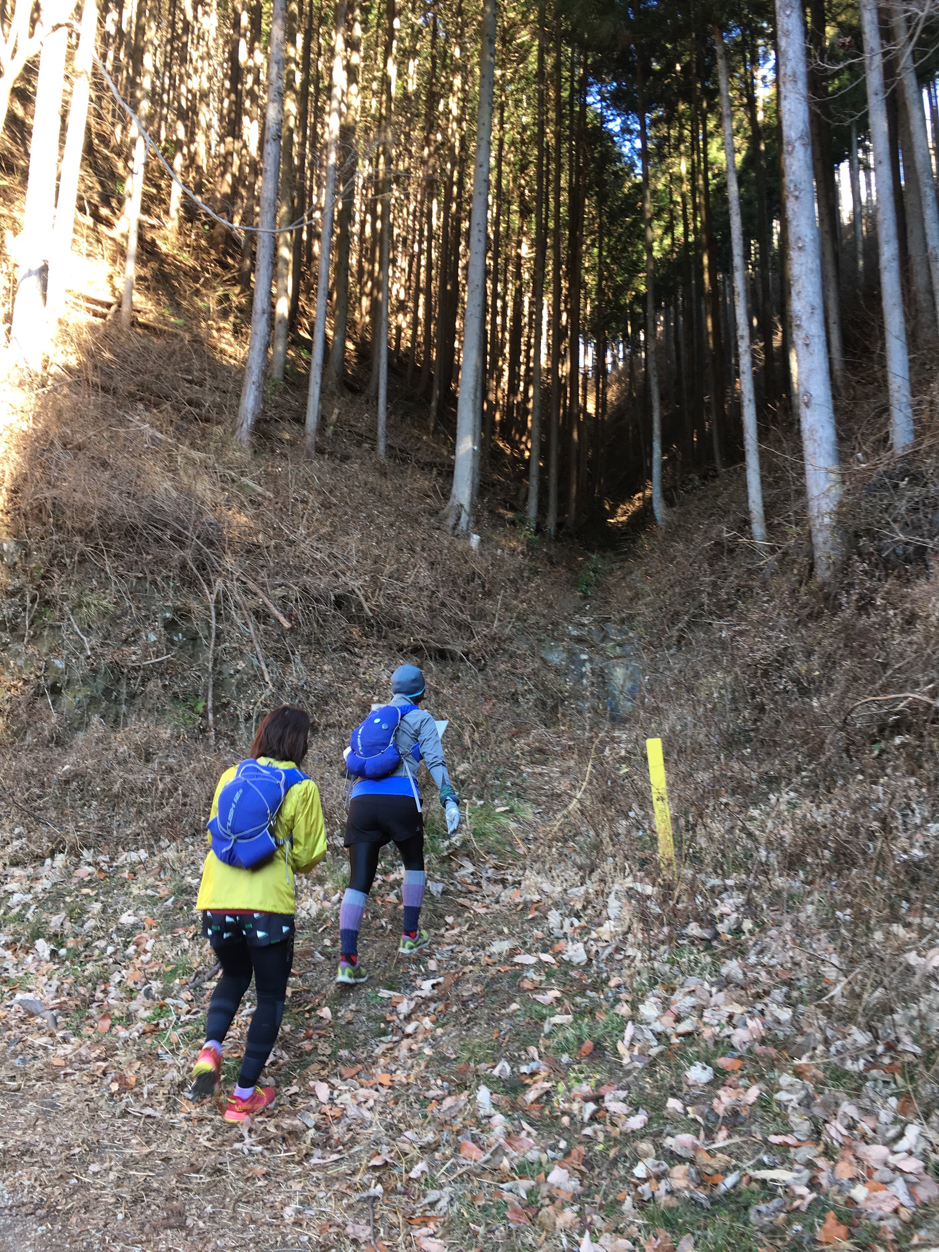 f:id:hatakofuru:20190116060610j:image f:id:hatakofuru:20190116060610j:image