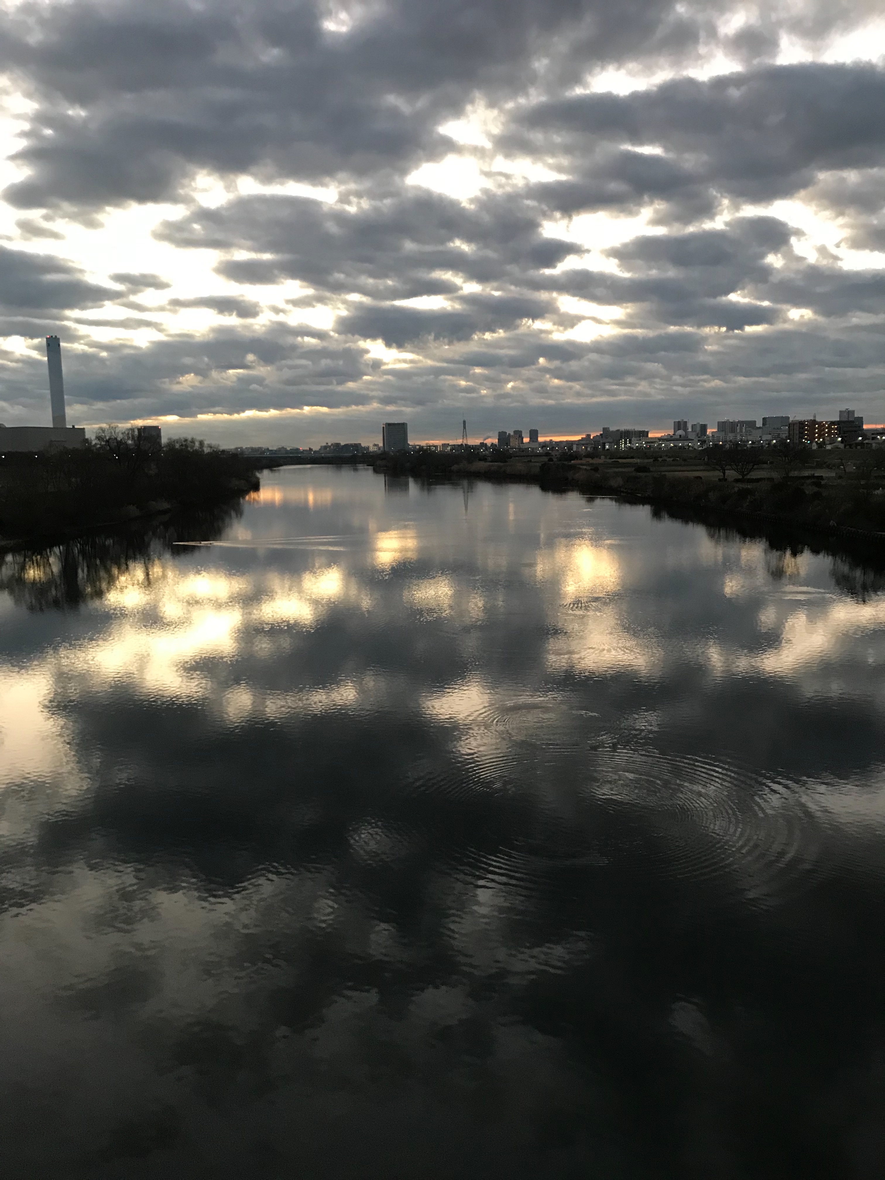 f:id:hatakofuru:20190121171602j:image f:id:hatakofuru:20190121171602j:image