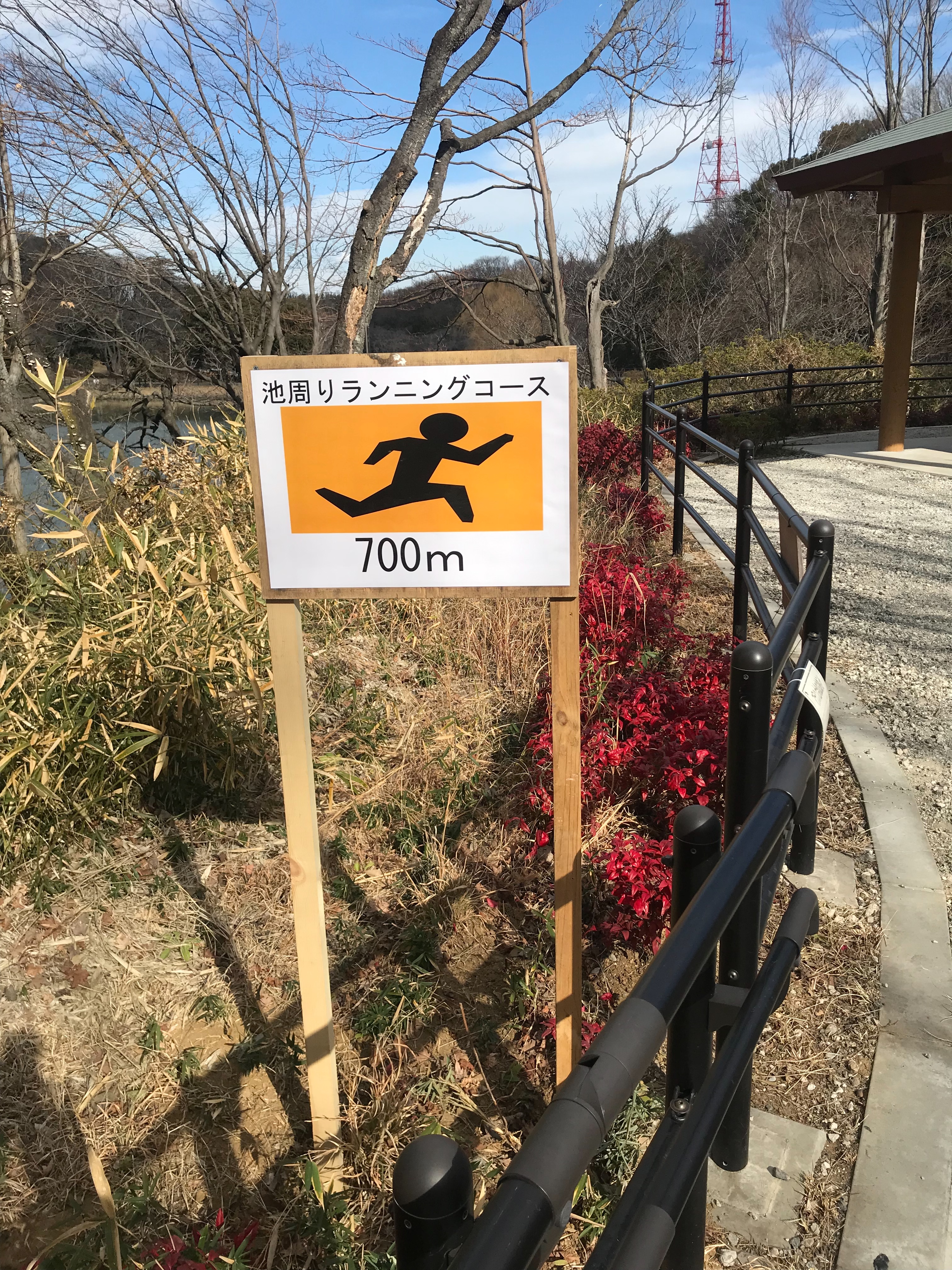 f:id:hatakofuru:20190127094309j:image