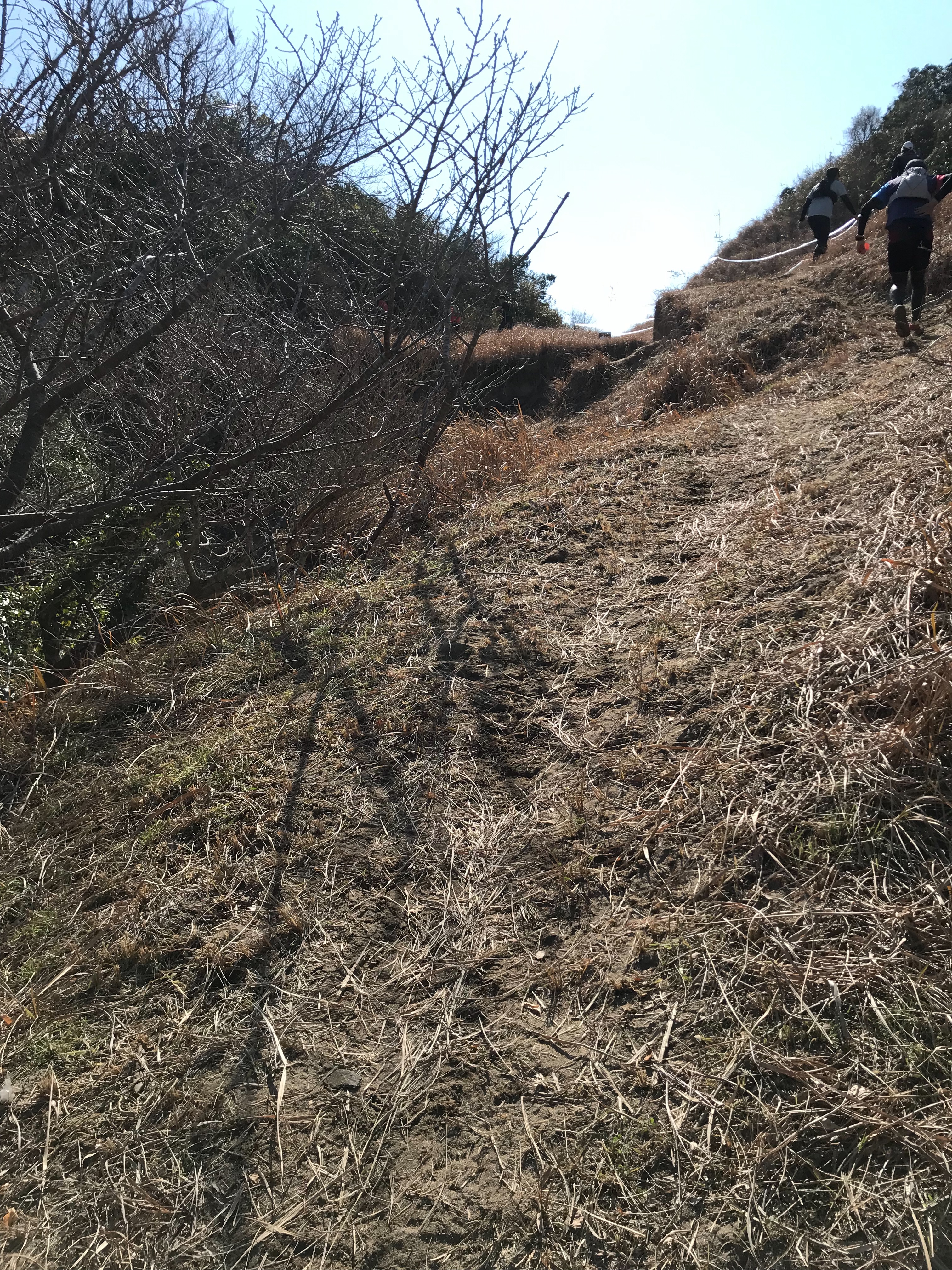 f:id:hatakofuru:20190205171830j:image