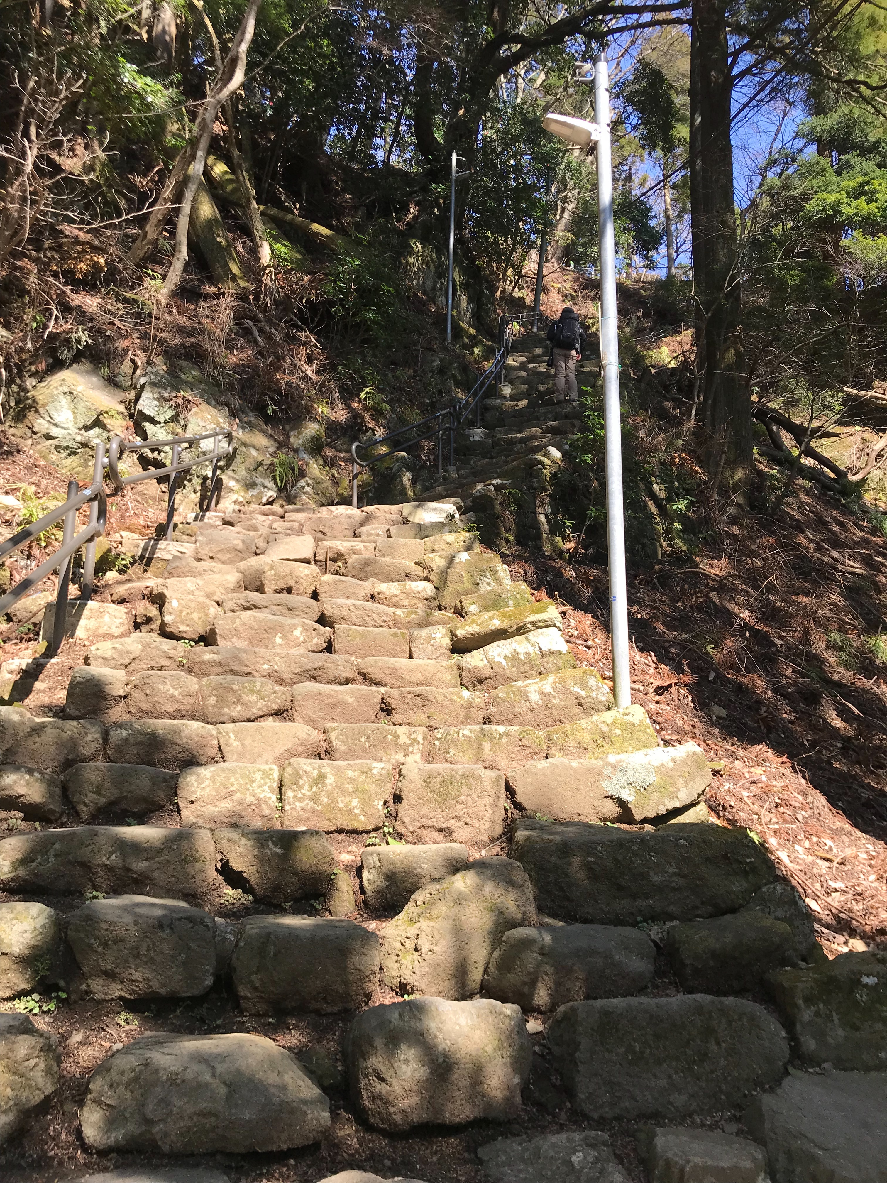 f:id:hatakofuru:20190311080005j:image f:id:hatakofuru:20190311080005j:image