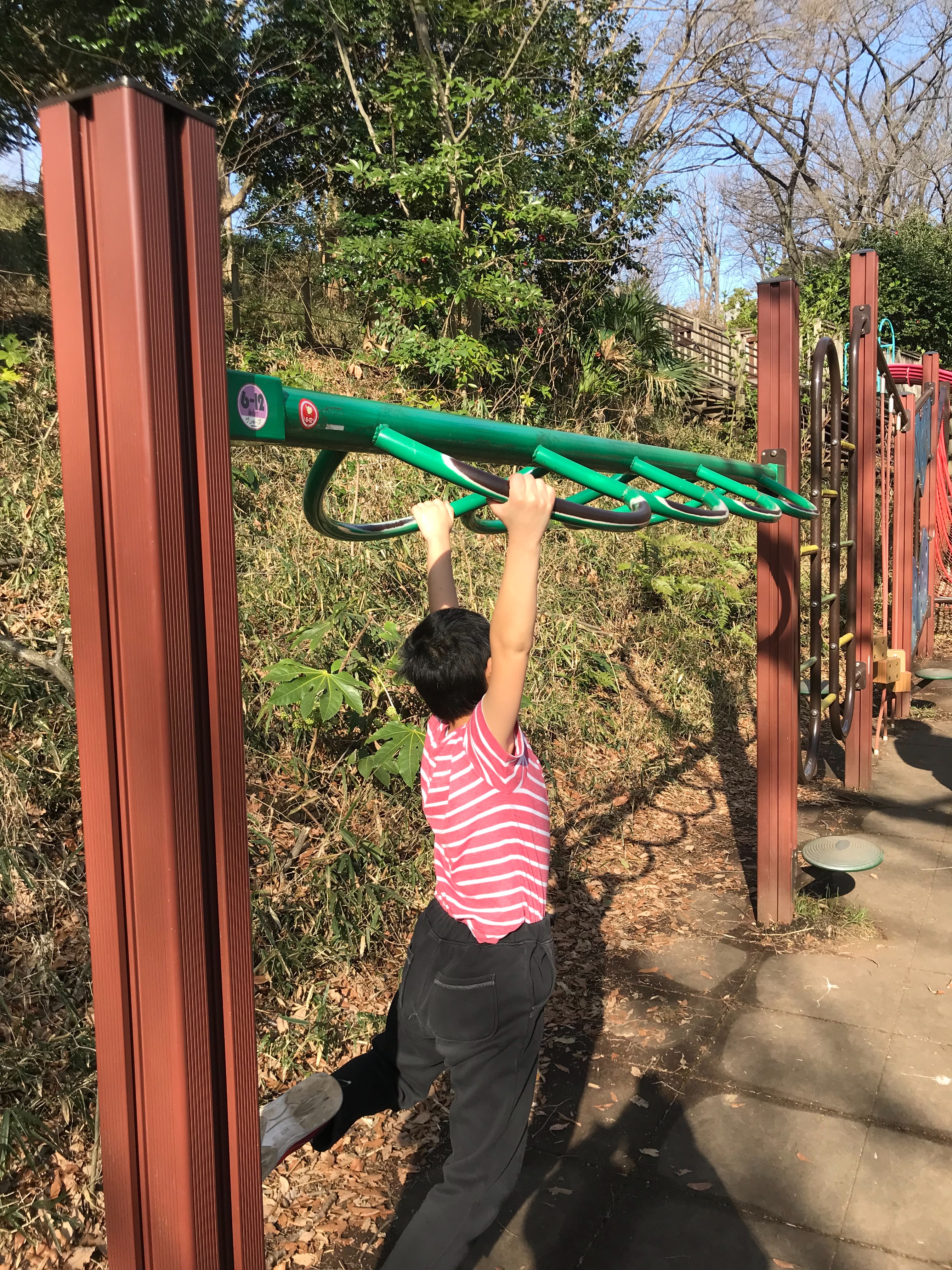 f:id:hatakofuru:20190312142857j:image f:id:hatakofuru:20190312142857j:image