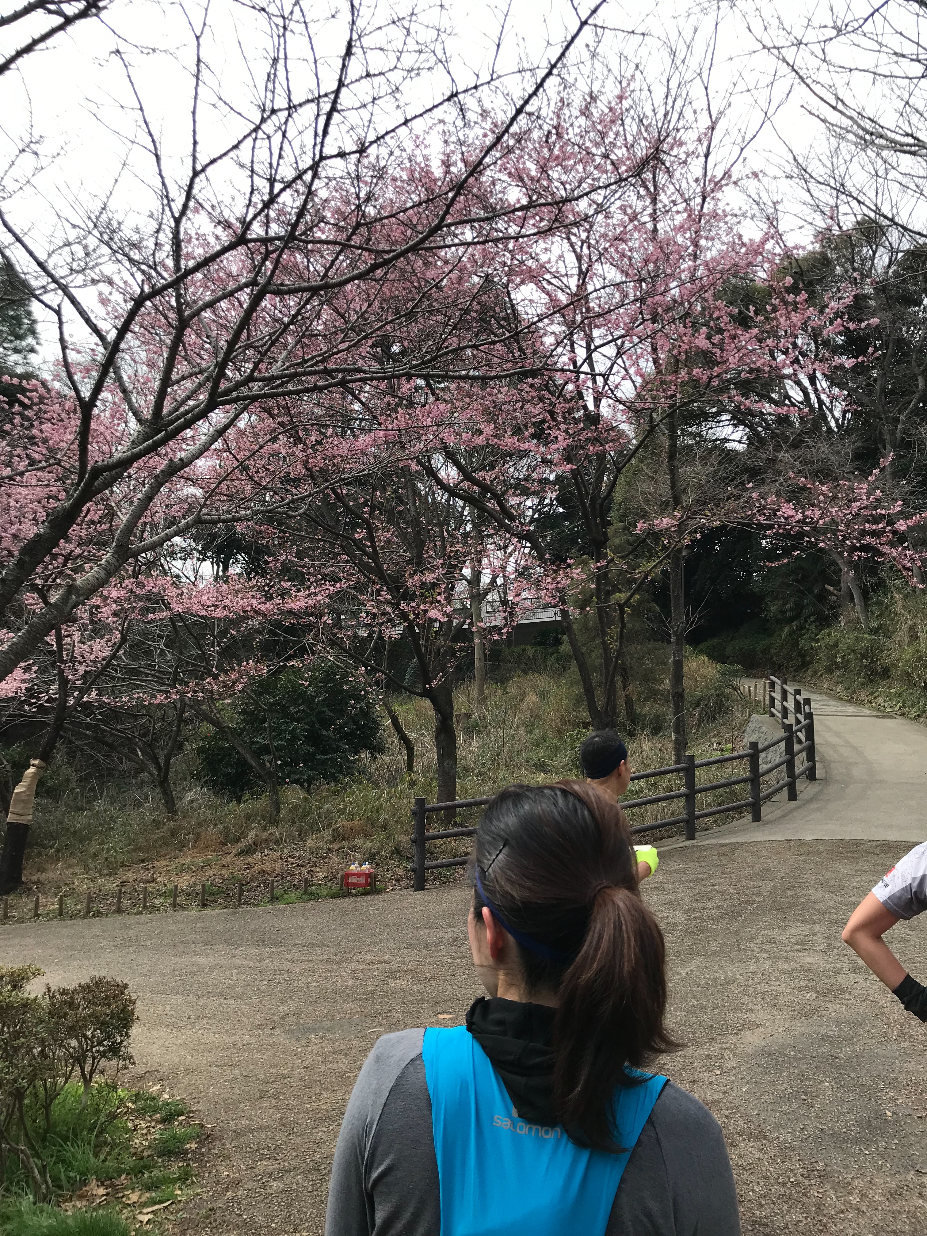 f:id:hatakofuru:20190313121437j:image f:id:hatakofuru:20190313121437j:image