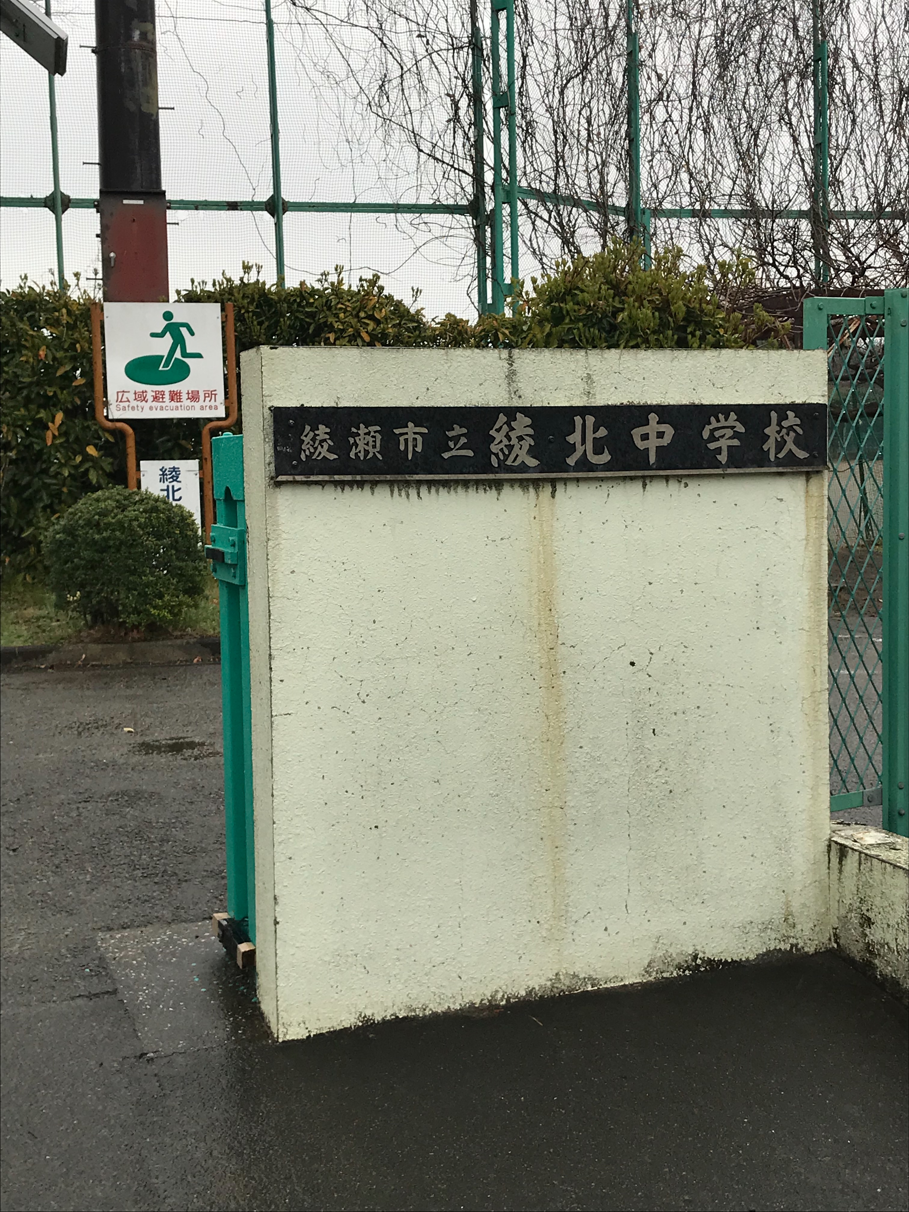 f:id:hatakofuru:20190325200414j:image