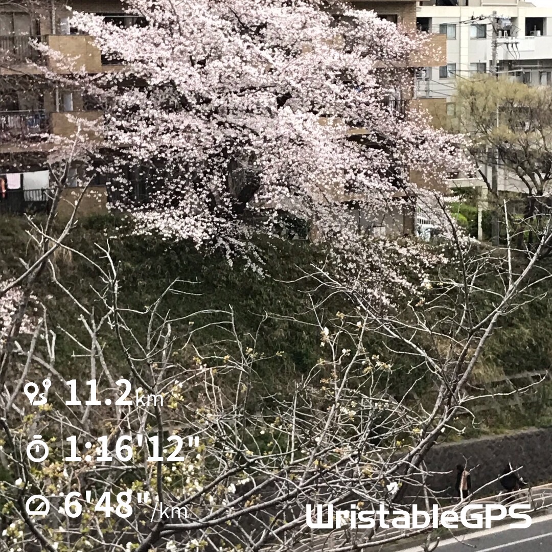 f:id:hatakofuru:20190329205409j:image f:id:hatakofuru:20190329205409j:image