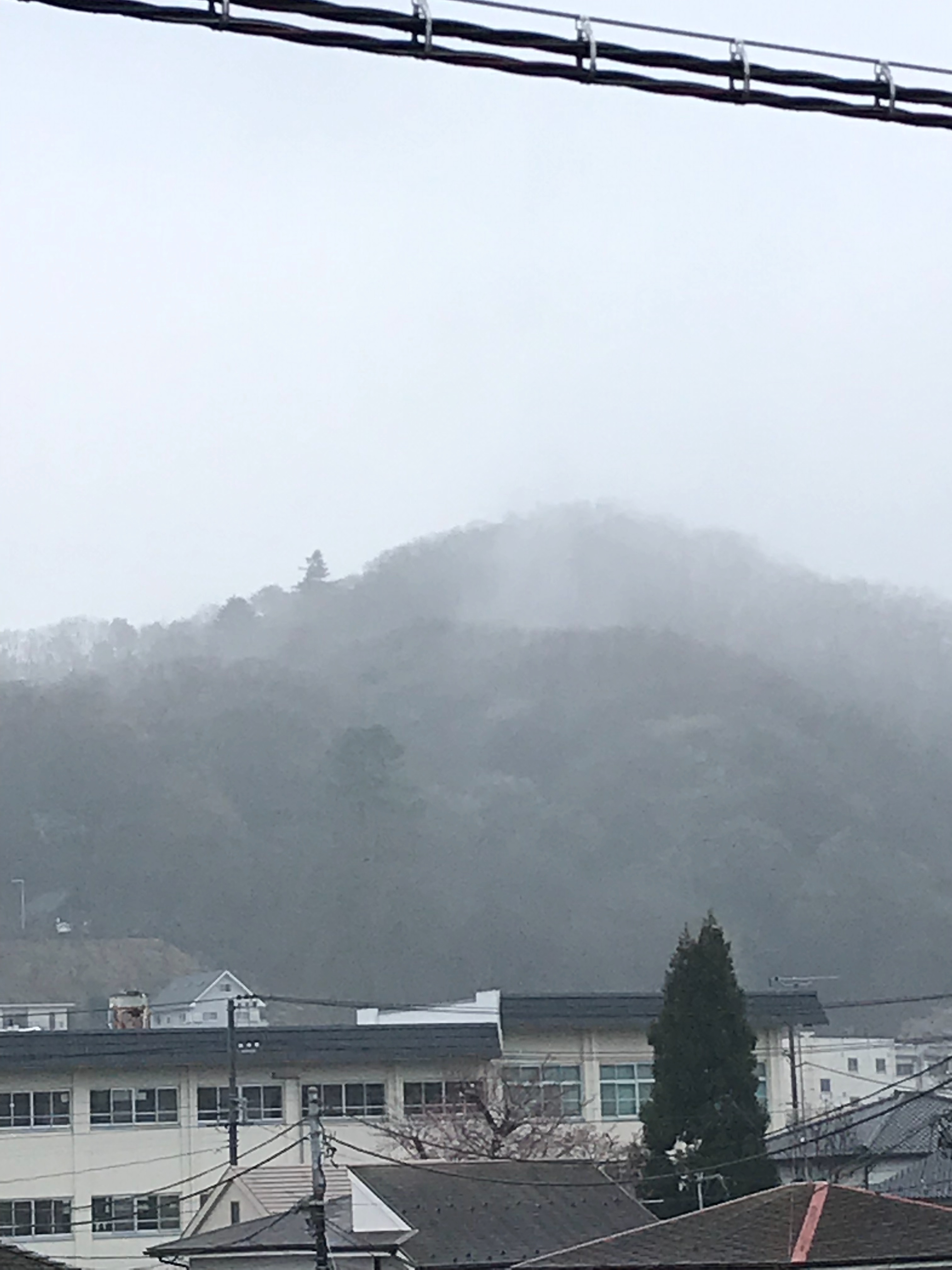 f:id:hatakofuru:20190401181226j:image f:id:hatakofuru:20190401181226j:image