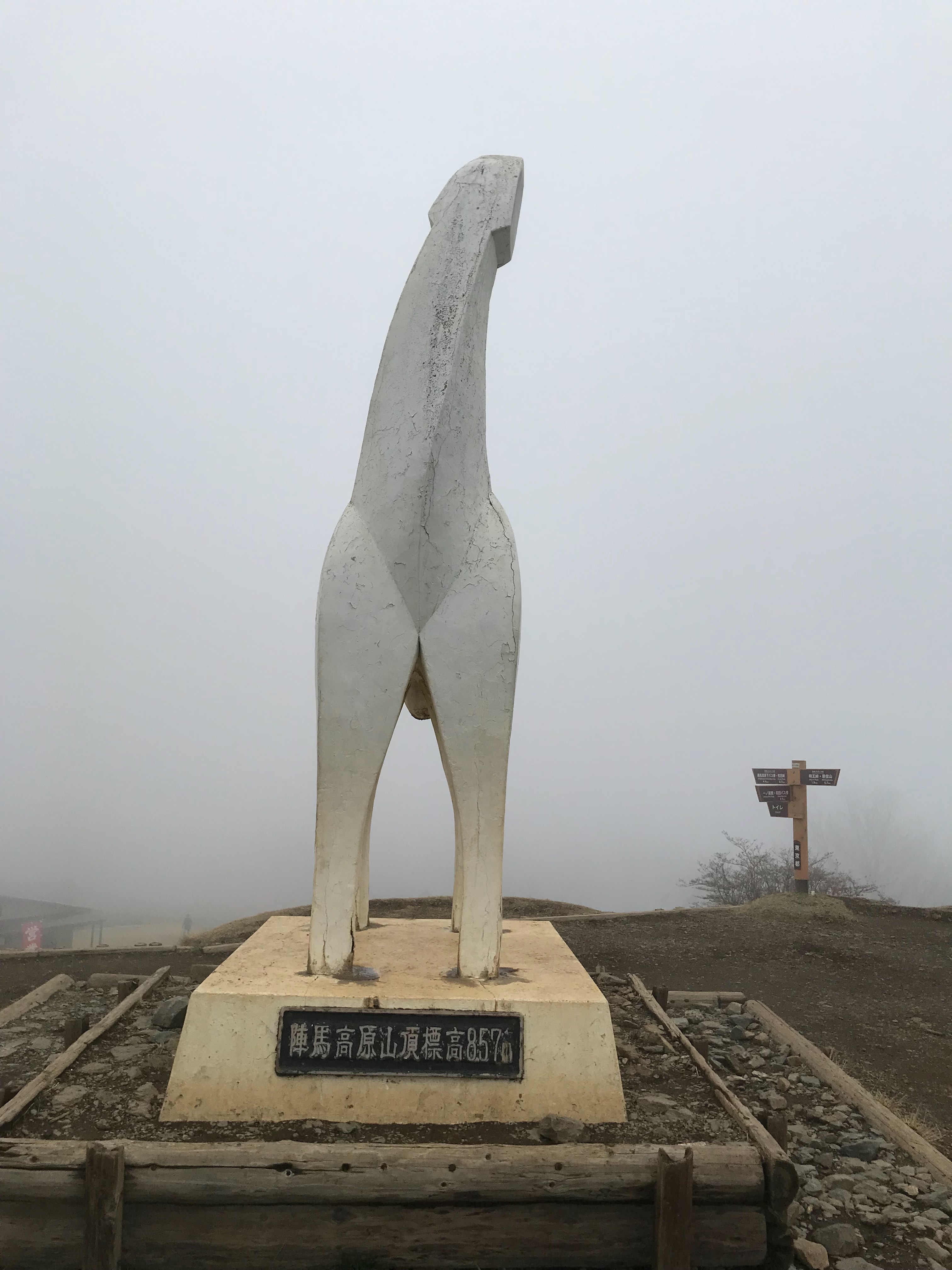 f:id:hatakofuru:20190401194852j:image f:id:hatakofuru:20190401194852j:image