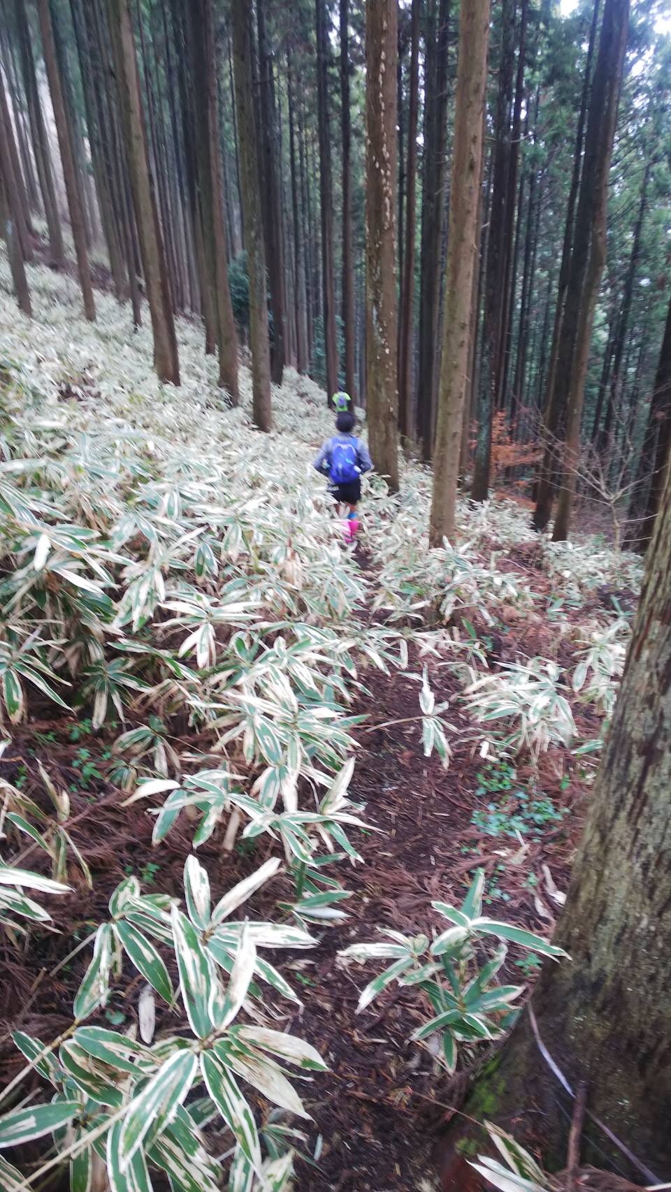 f:id:hatakofuru:20190401195940j:image f:id:hatakofuru:20190401195940j:image