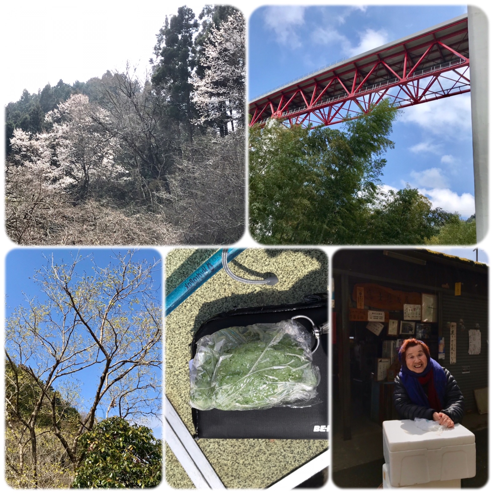 f:id:hatakofuru:20190401201301j:image f:id:hatakofuru:20190401201301j:image