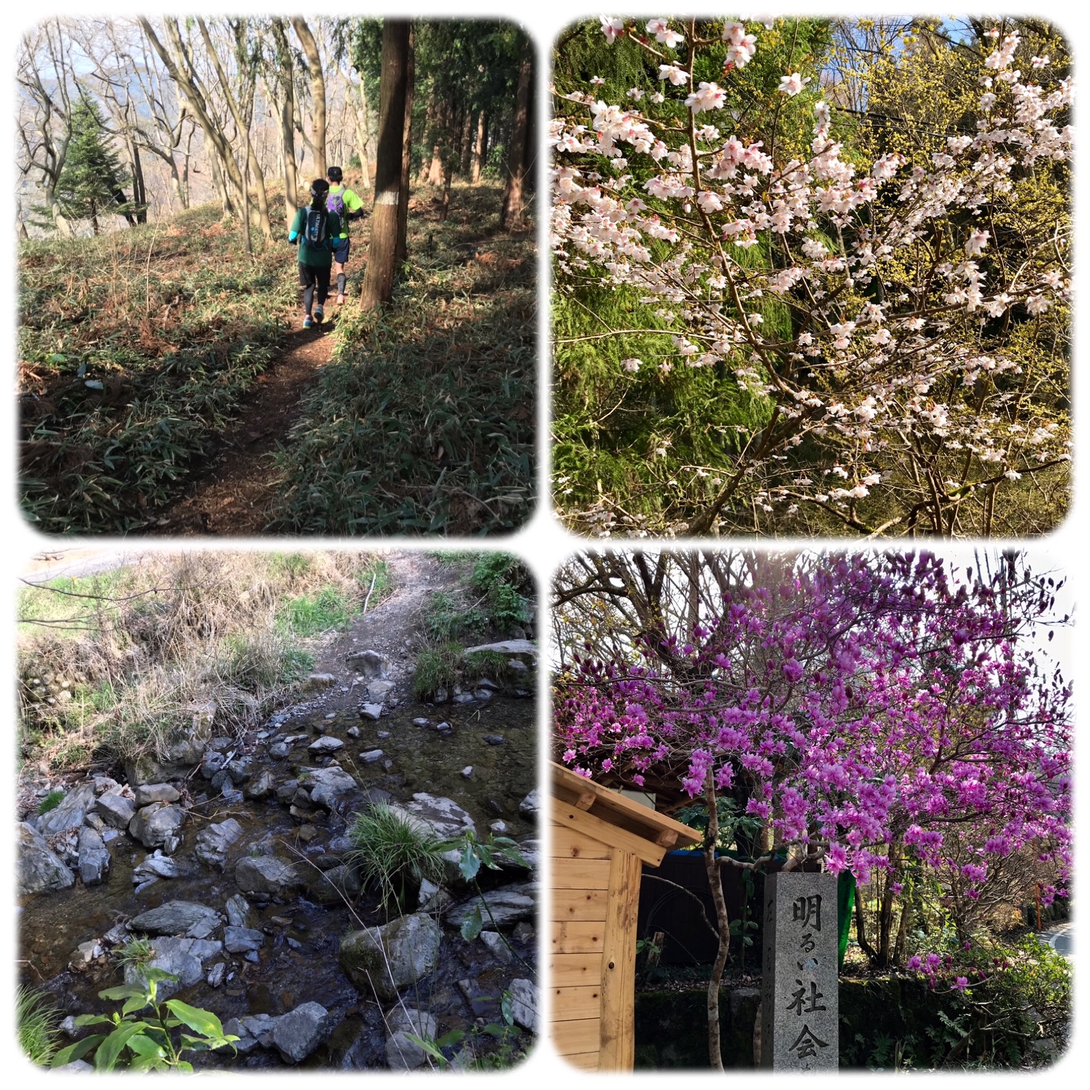 f:id:hatakofuru:20190401203138j:image f:id:hatakofuru:20190401203138j:image