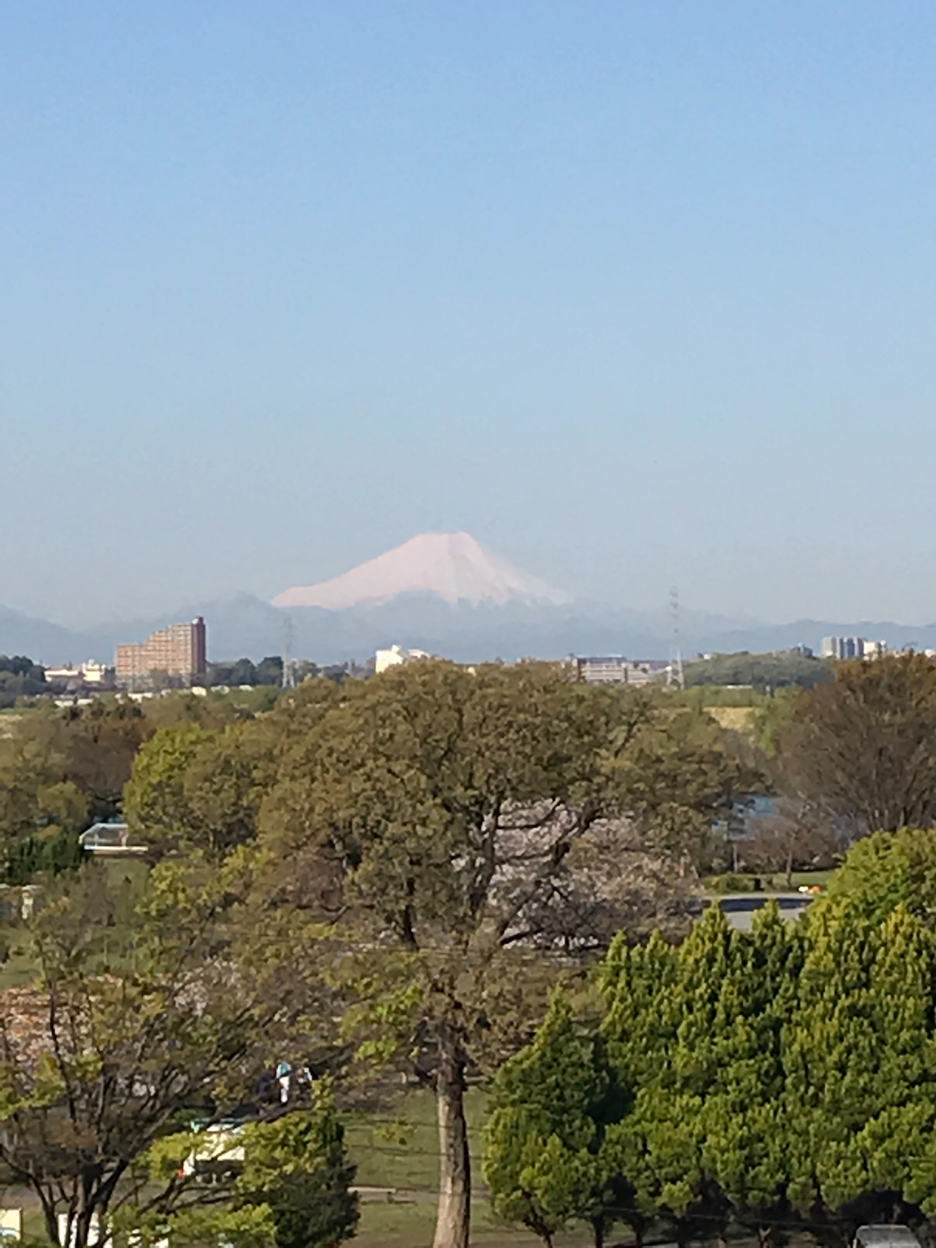 f:id:hatakofuru:20190414191517j:image f:id:hatakofuru:20190414191517j:image
