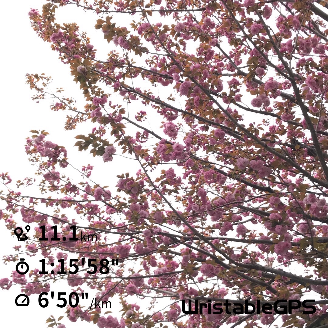 f:id:hatakofuru:20190419225515j:image