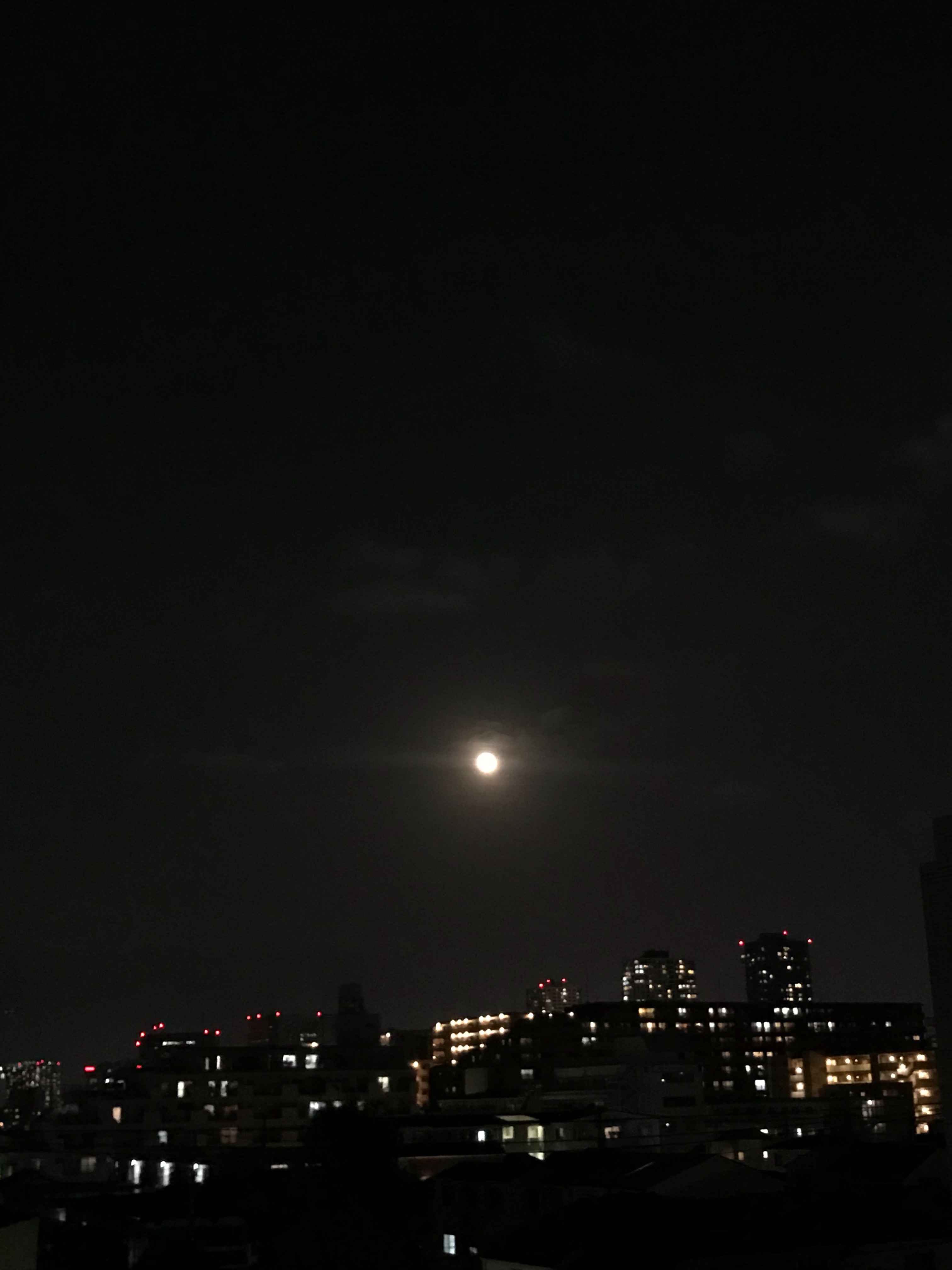 f:id:hatakofuru:20190421193759j:image