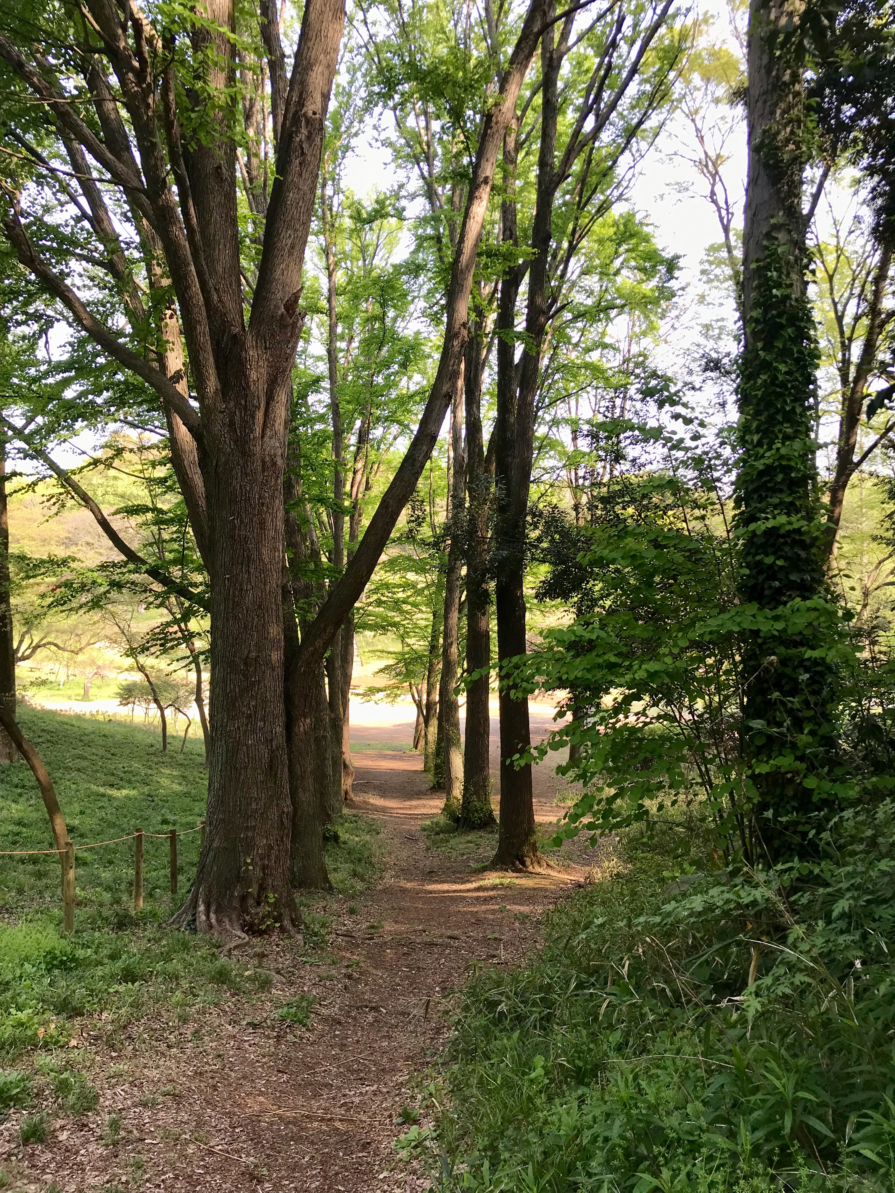f:id:hatakofuru:20190421194043j:image