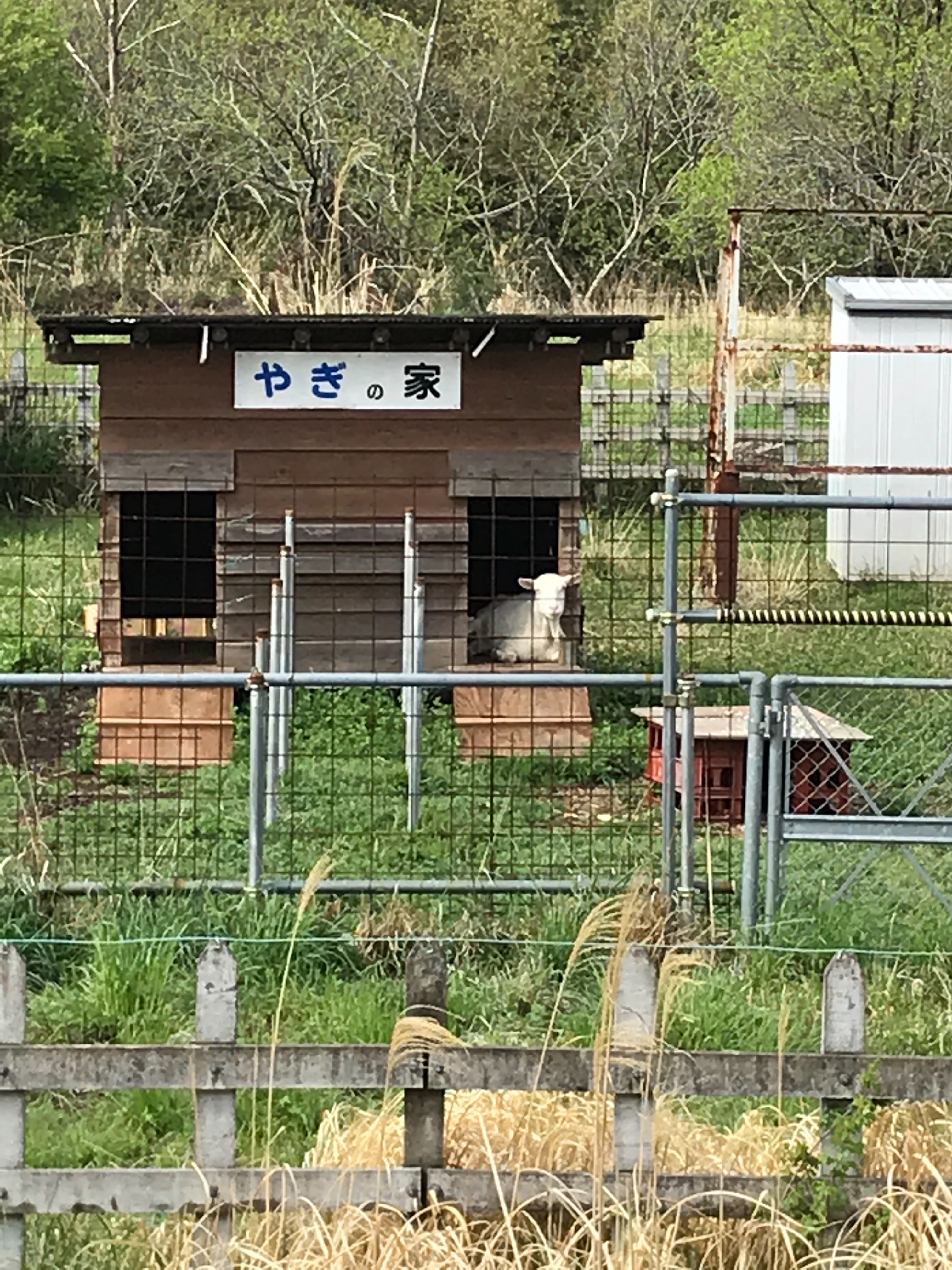 f:id:hatakofuru:20190428161127j:image f:id:hatakofuru:20190428161127j:image