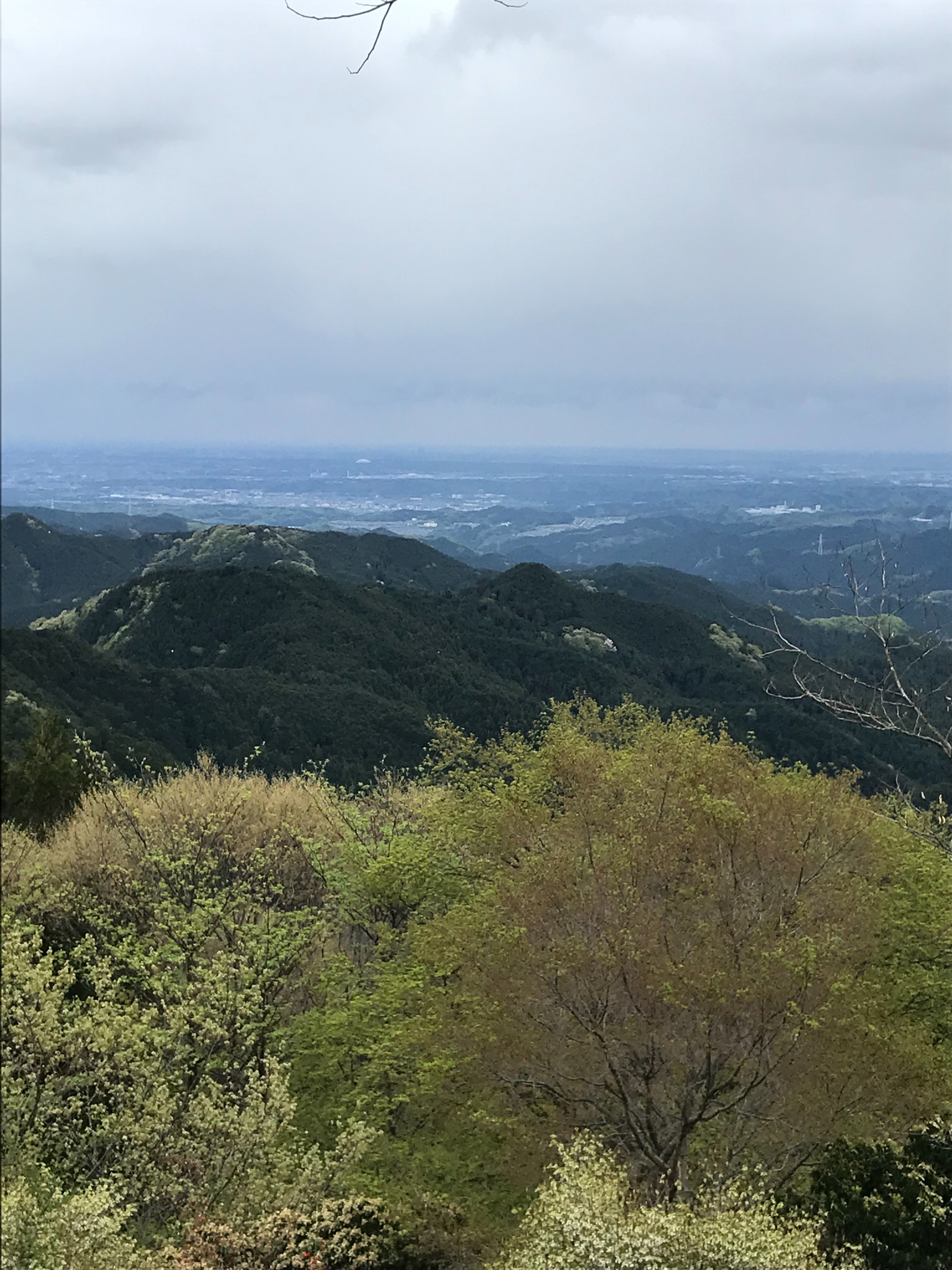 f:id:hatakofuru:20190428183040j:image f:id:hatakofuru:20190428183040j:image