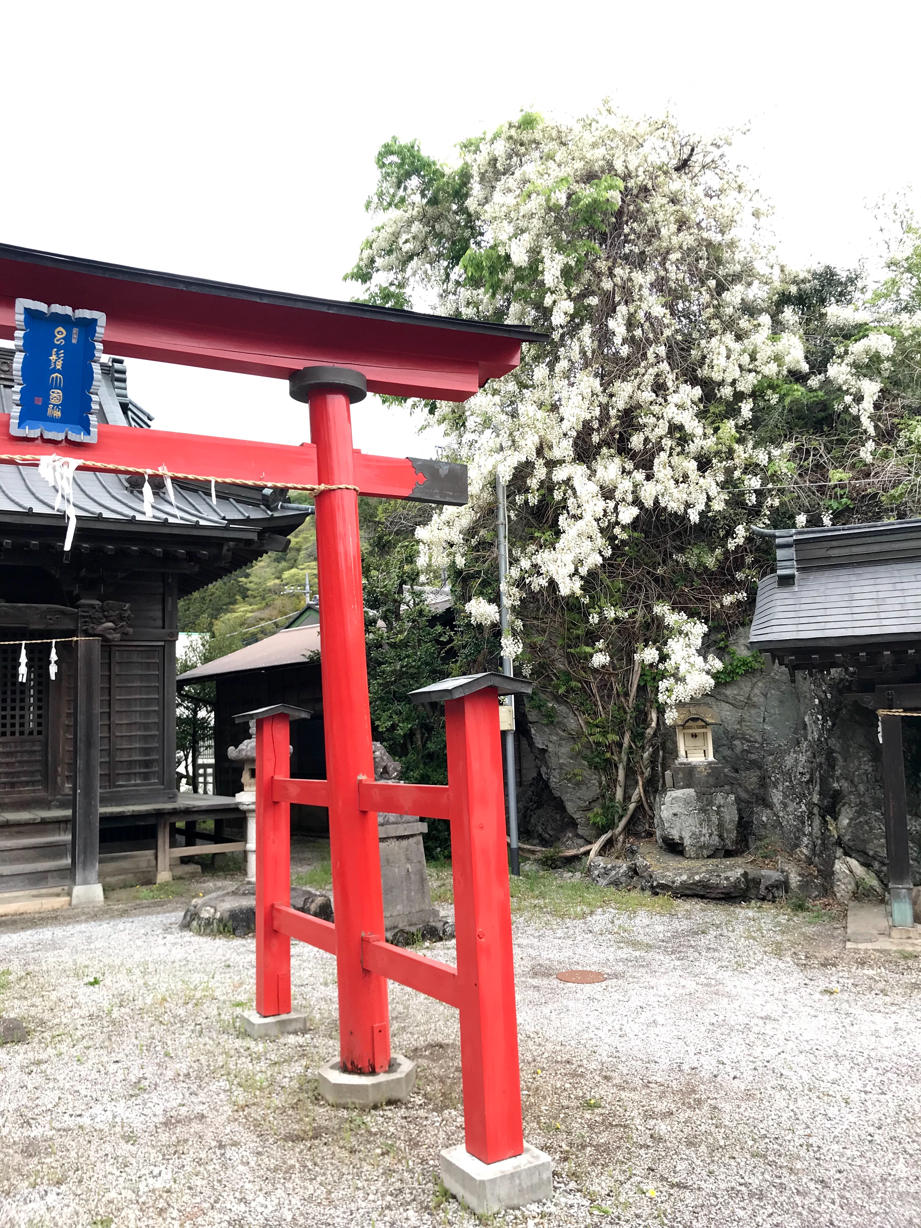 f:id:hatakofuru:20190429062323j:image f:id:hatakofuru:20190429062323j:image