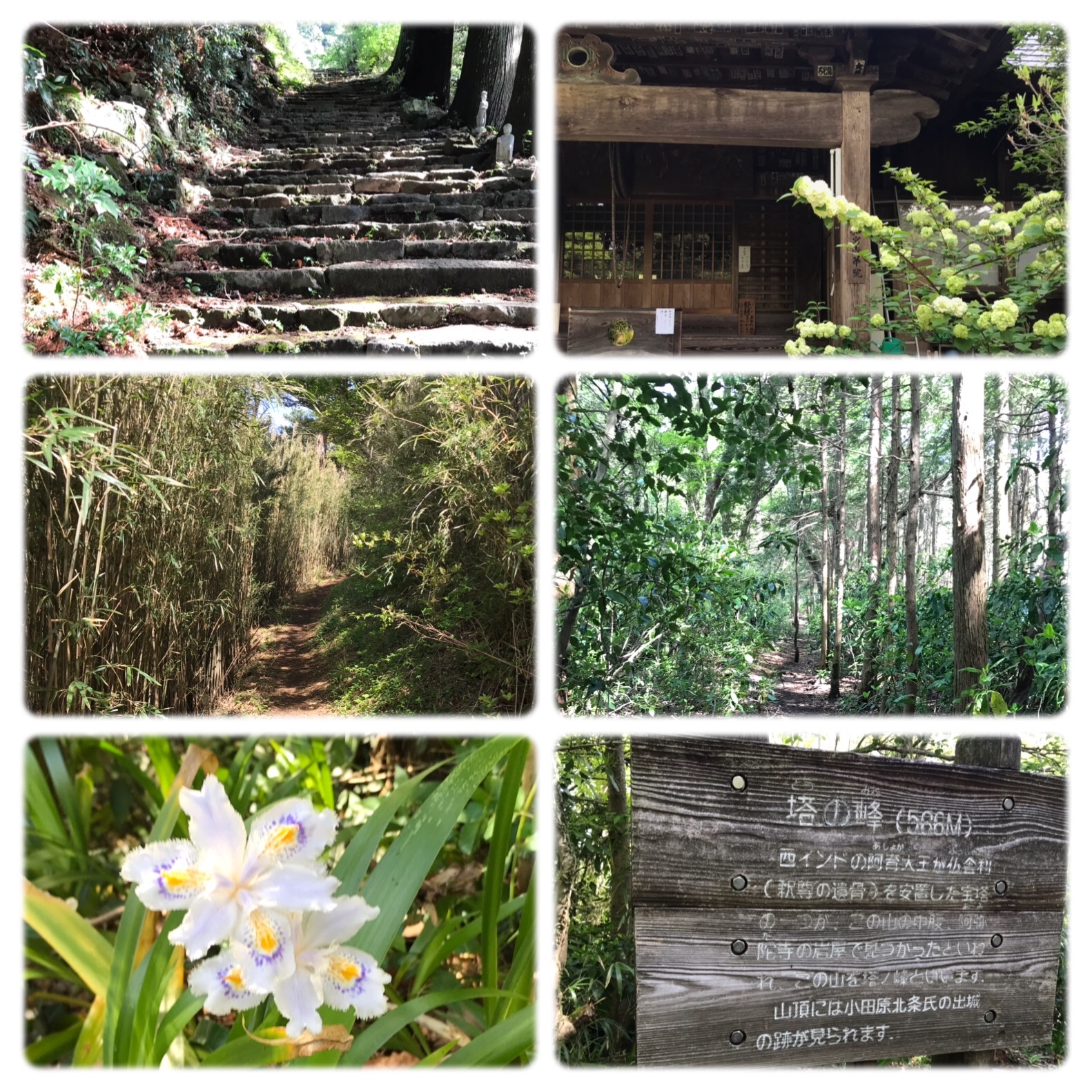 f:id:hatakofuru:20190505114303j:image f:id:hatakofuru:20190505114303j:image