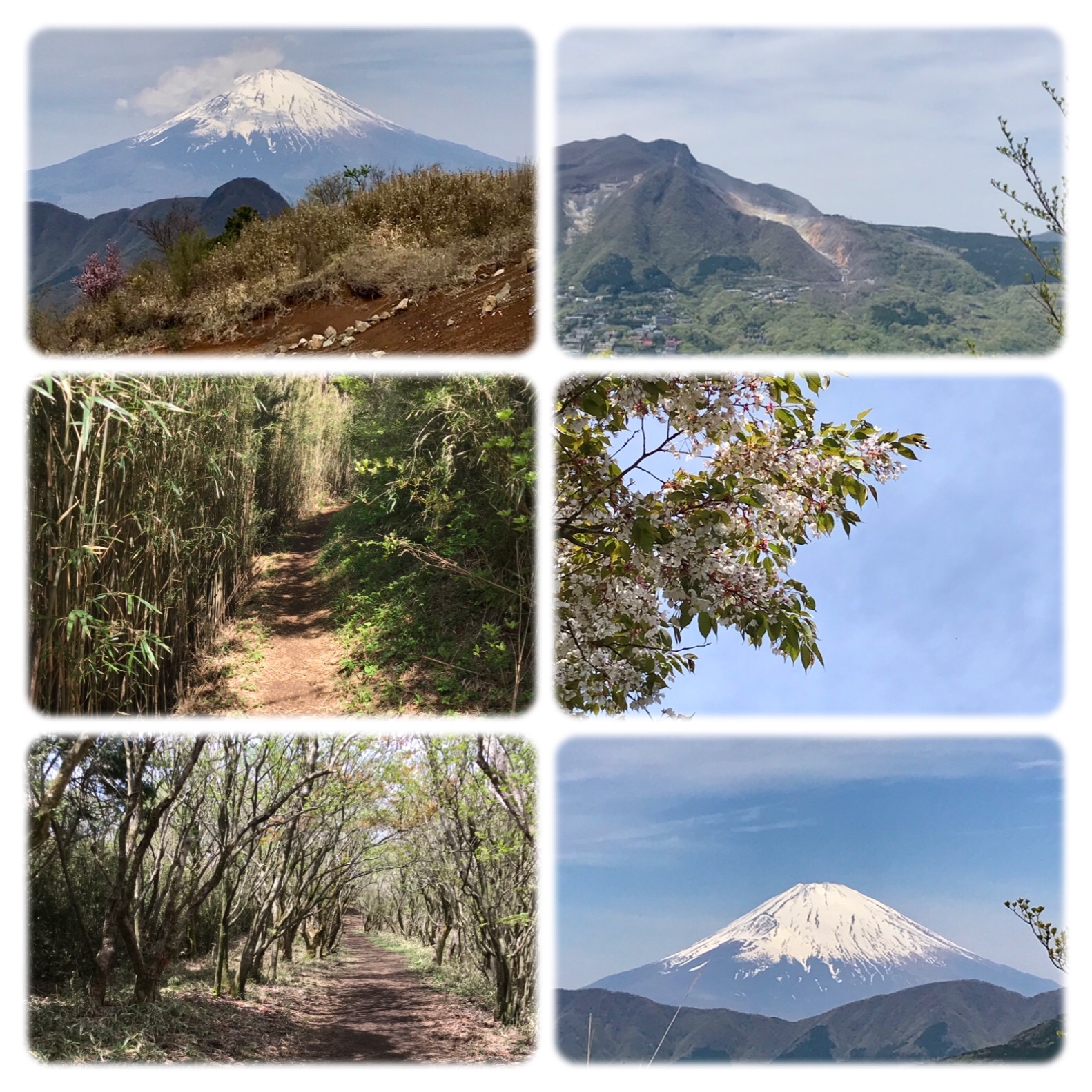 f:id:hatakofuru:20190505114933j:image f:id:hatakofuru:20190505114933j:image