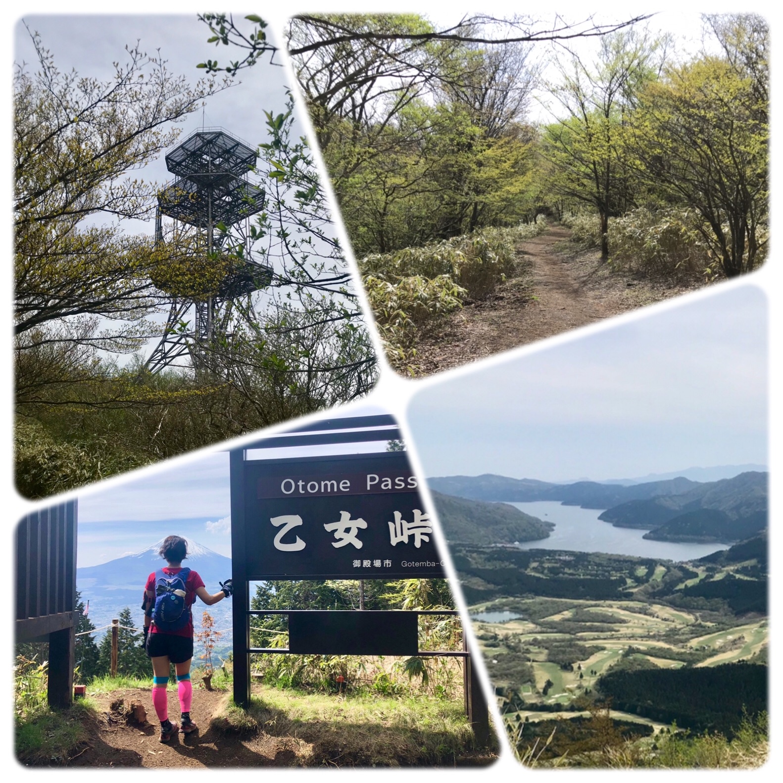 f:id:hatakofuru:20190505135831j:image f:id:hatakofuru:20190505135831j:image