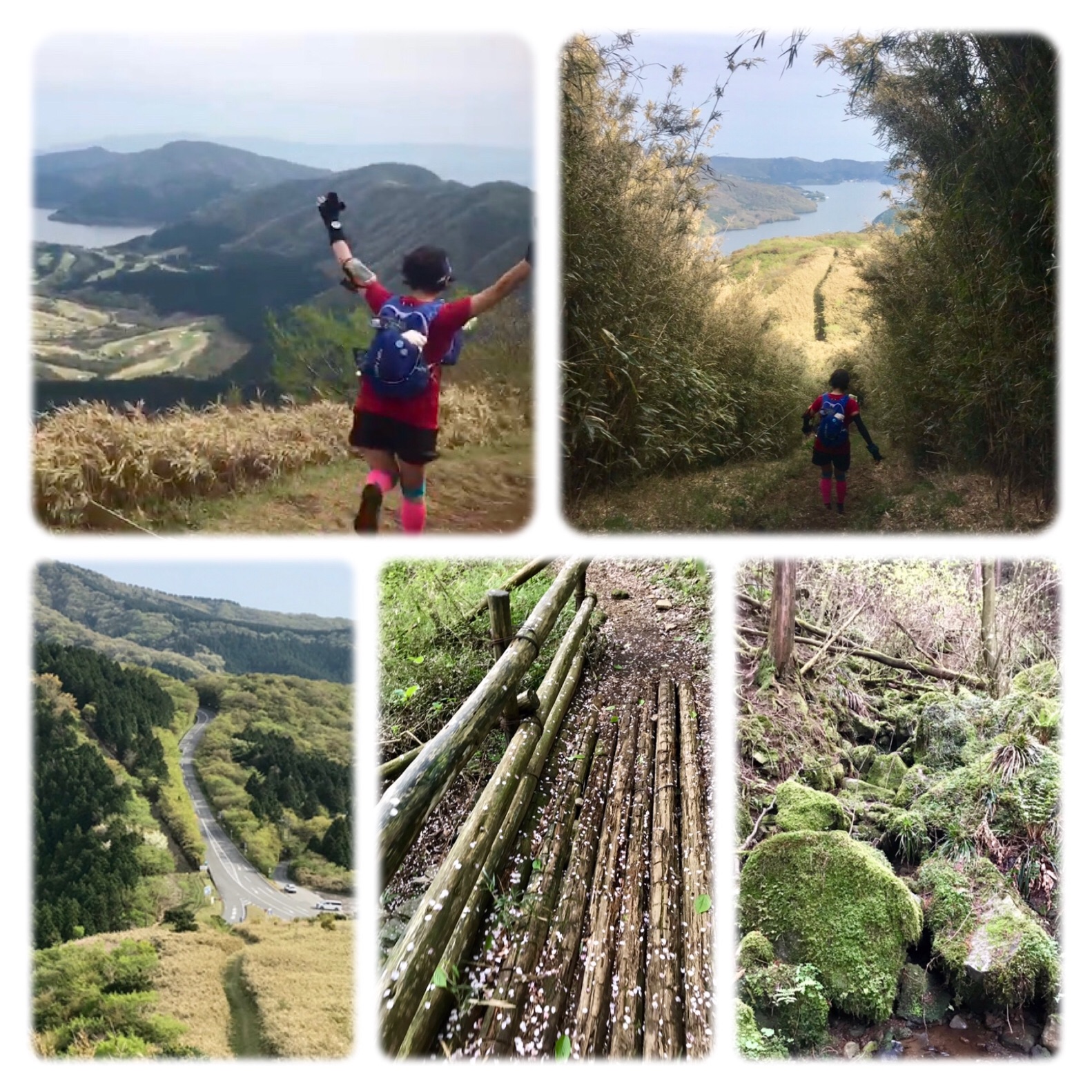f:id:hatakofuru:20190505163831j:image f:id:hatakofuru:20190505163831j:image