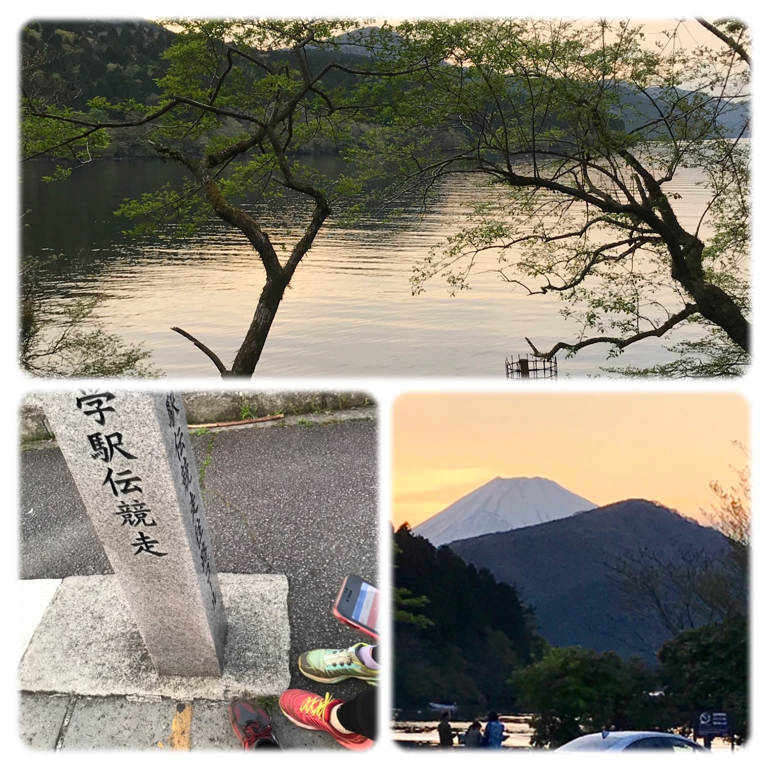 f:id:hatakofuru:20190505164343j:image f:id:hatakofuru:20190505164343j:image