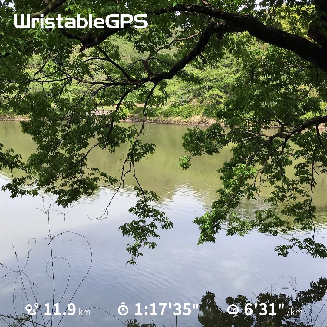 f:id:hatakofuru:20190506095103j:image f:id:hatakofuru:20190506095103j:image