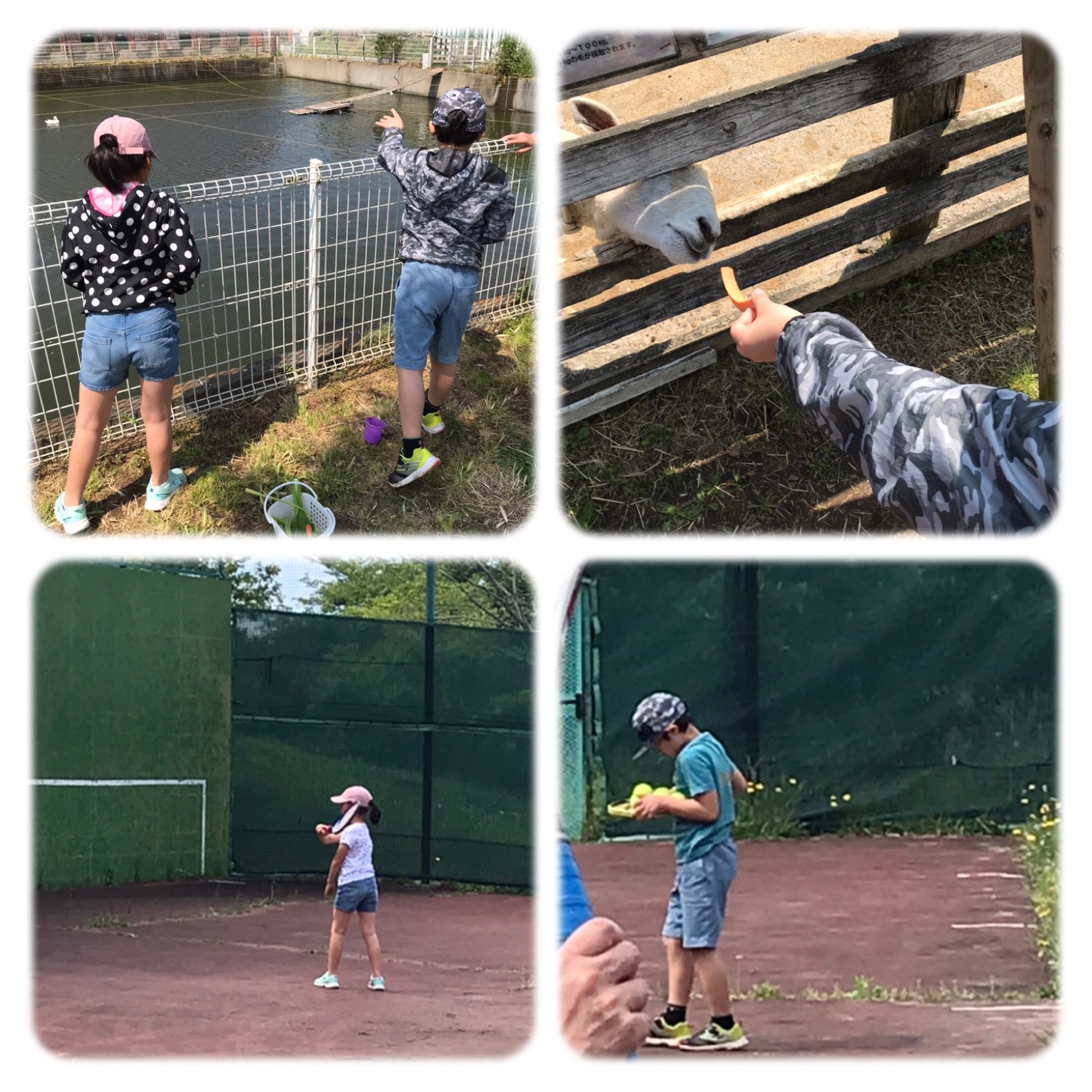 f:id:hatakofuru:20190506095723j:image f:id:hatakofuru:20190506095723j:image