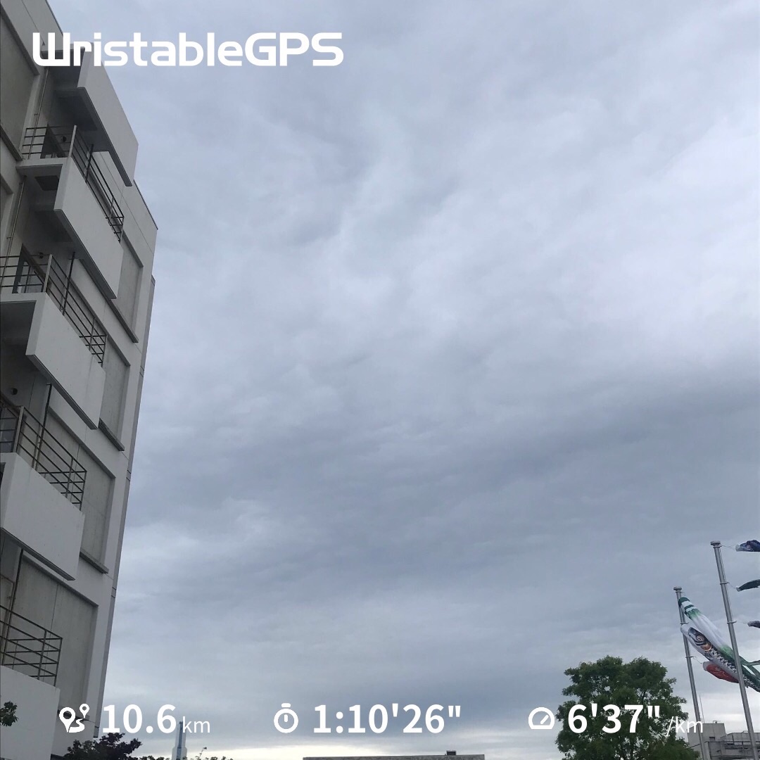 f:id:hatakofuru:20190509183352j:image f:id:hatakofuru:20190509183352j:image